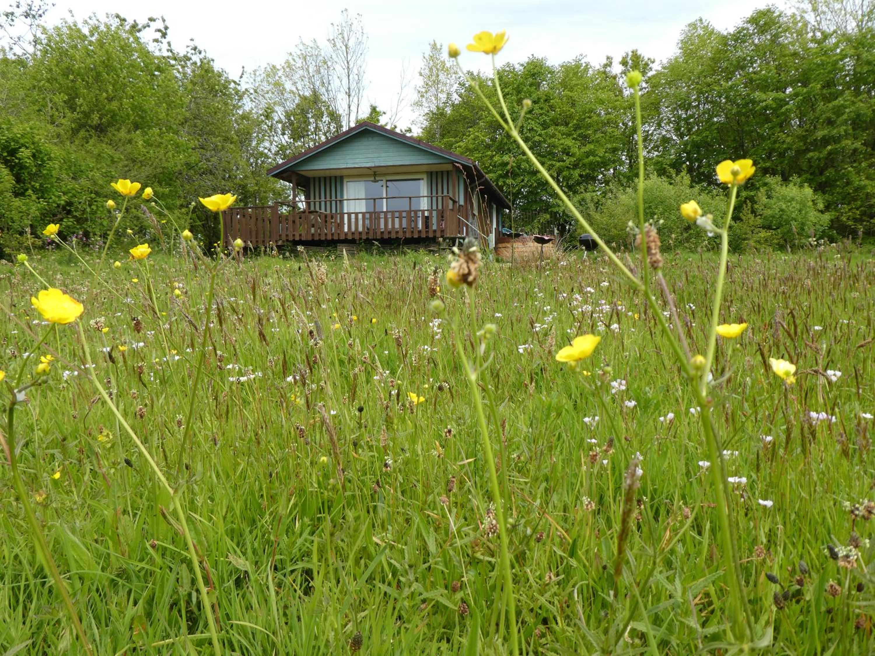 Vacation Home photo 3