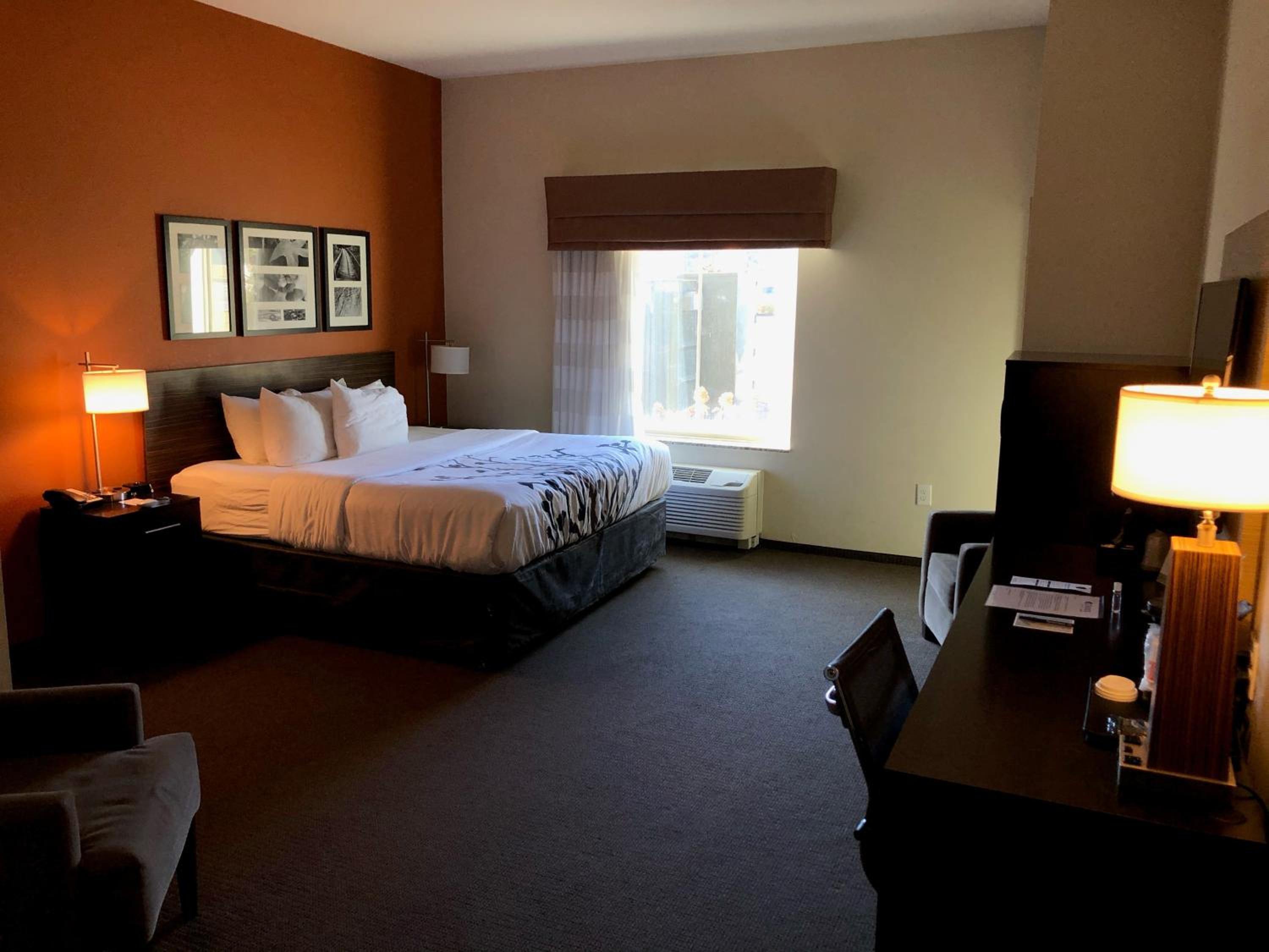 King Room - Accessible/Non-Smoking photo 1