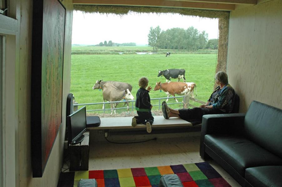 Family Room with Garden View photo 1