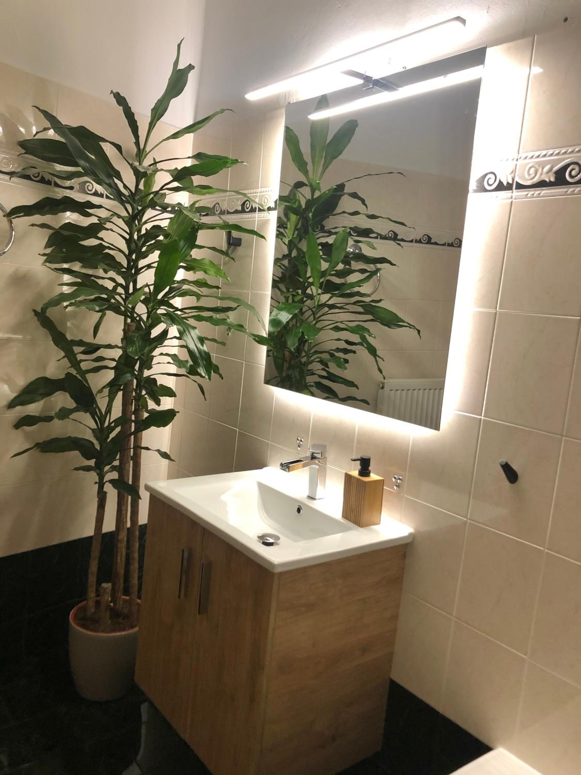 Deluxe Apartment - Photo 3