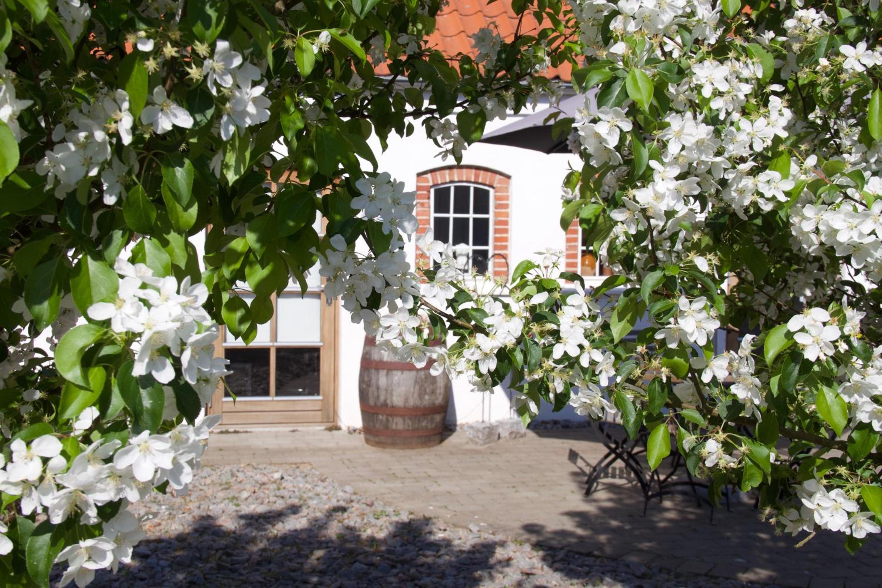 Large Apartment photo 2