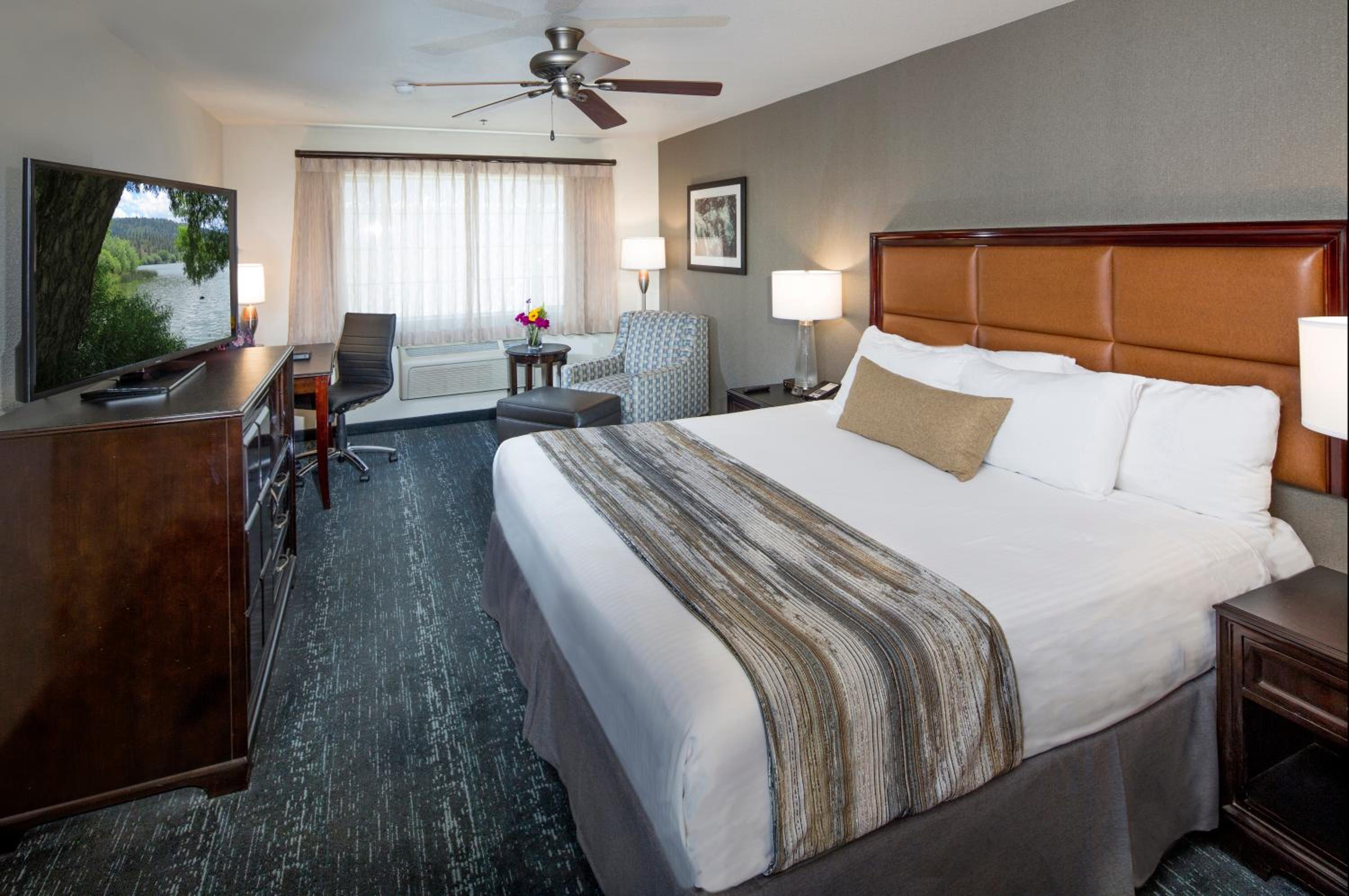 King Room photo 1