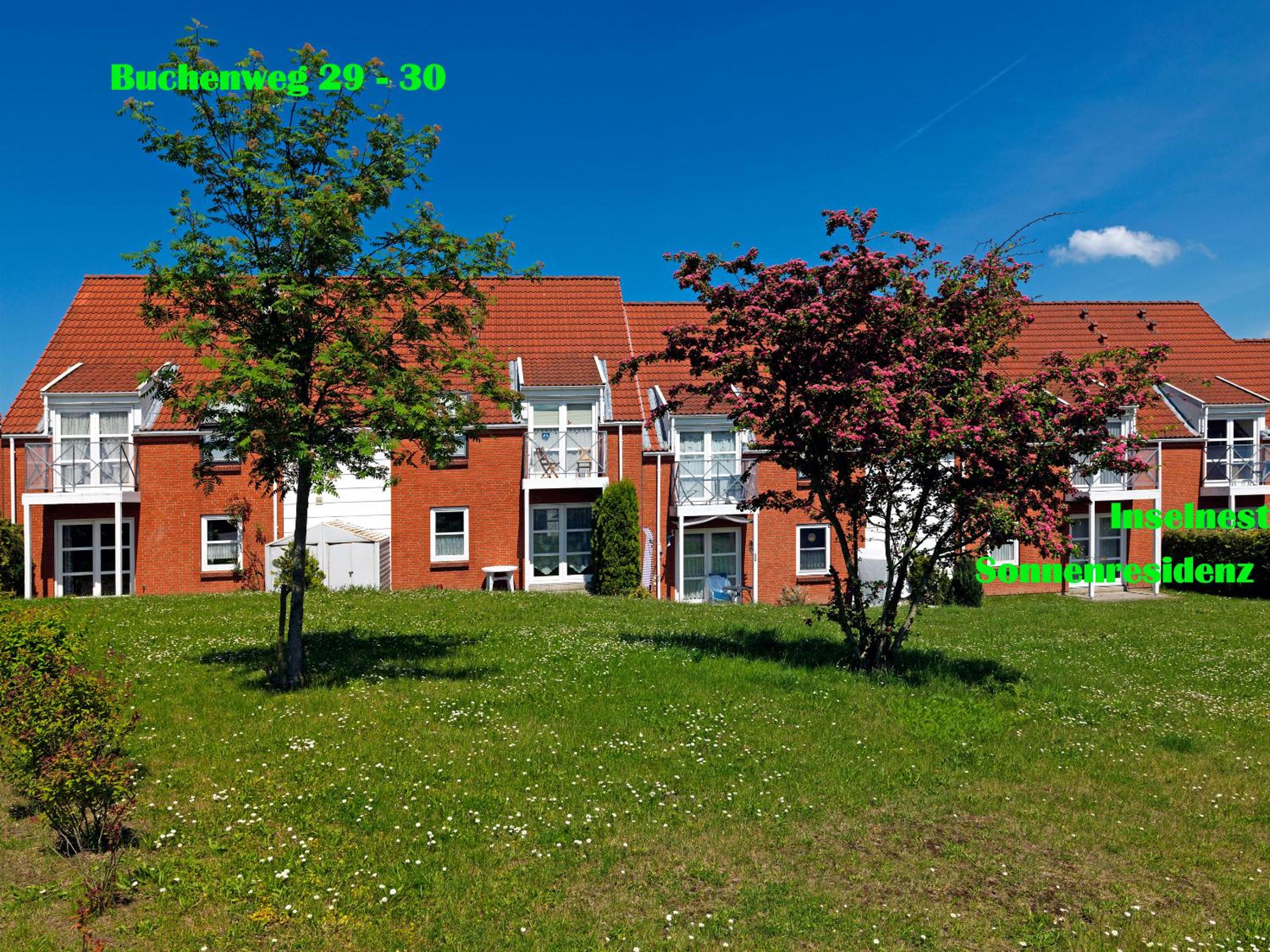 Apartment with Terrace photo 2
