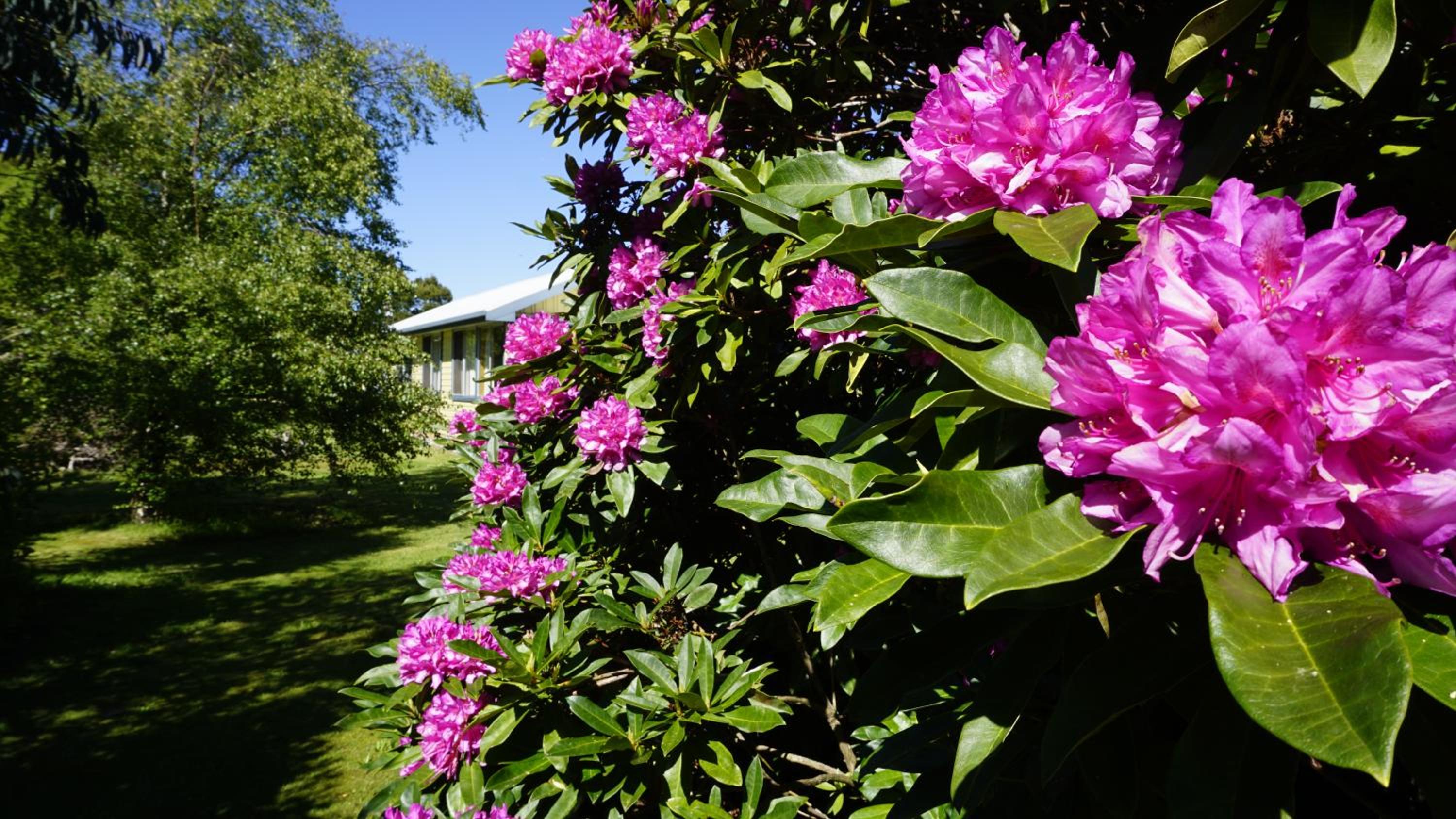 Standard Two-Bedroom Garden Apartment photo 3