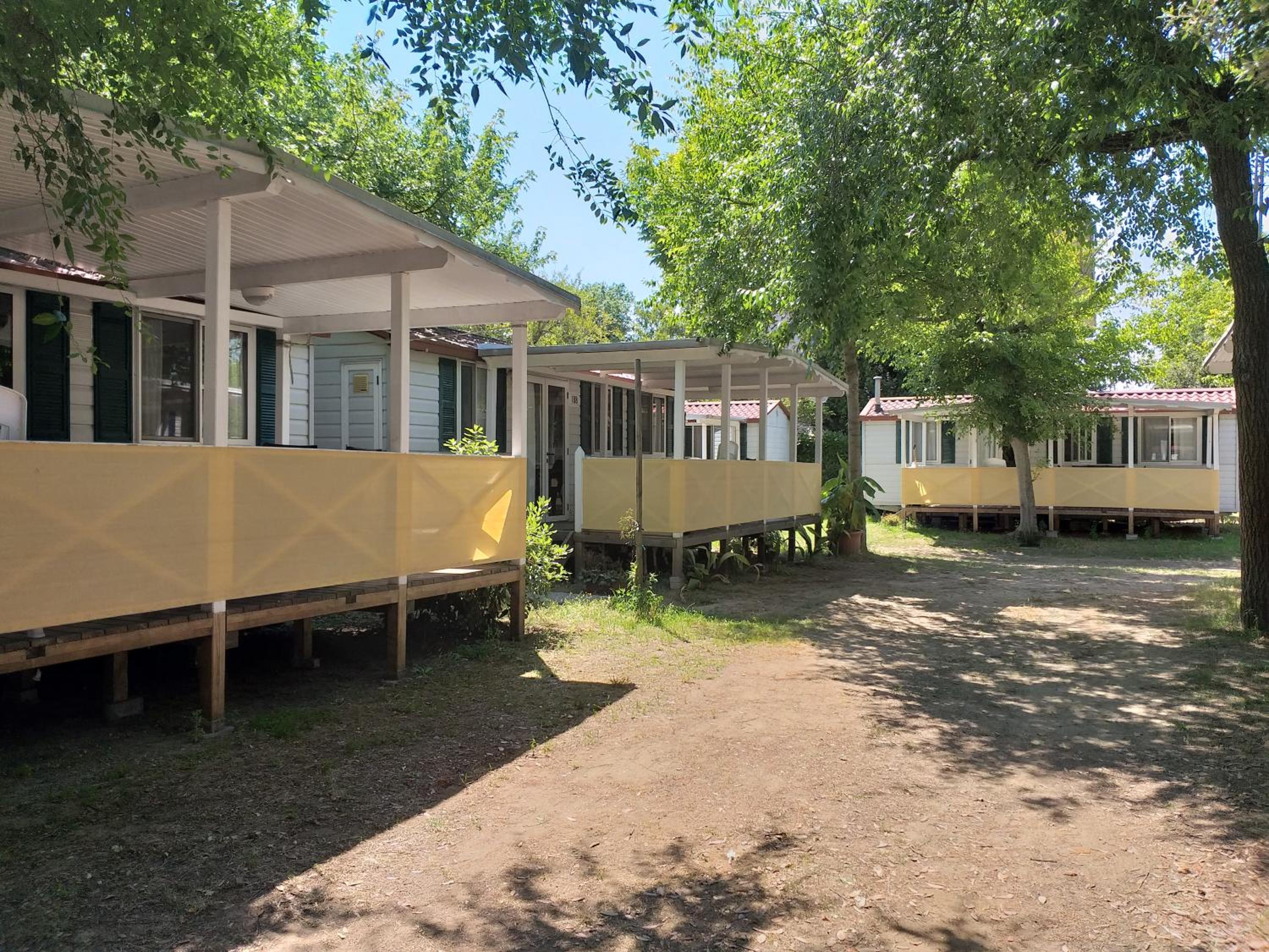 Mobile Home photo 3