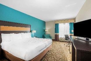 King Room photo 1
