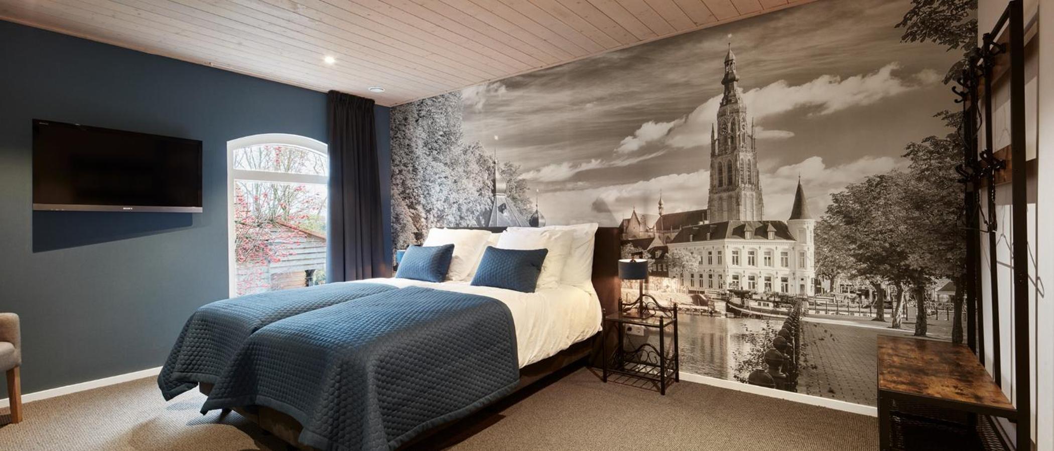 Deluxe Double or Twin Room photo 1