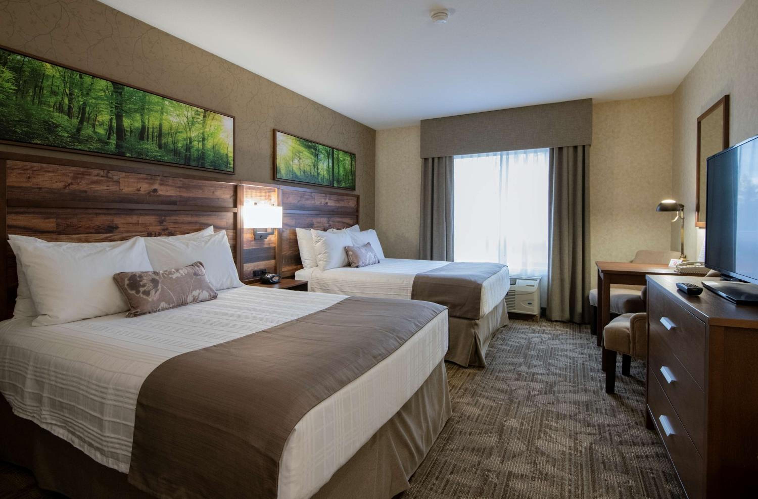 Queen Room with Two Queen Beds - Pet Friendly/Non-Smoking