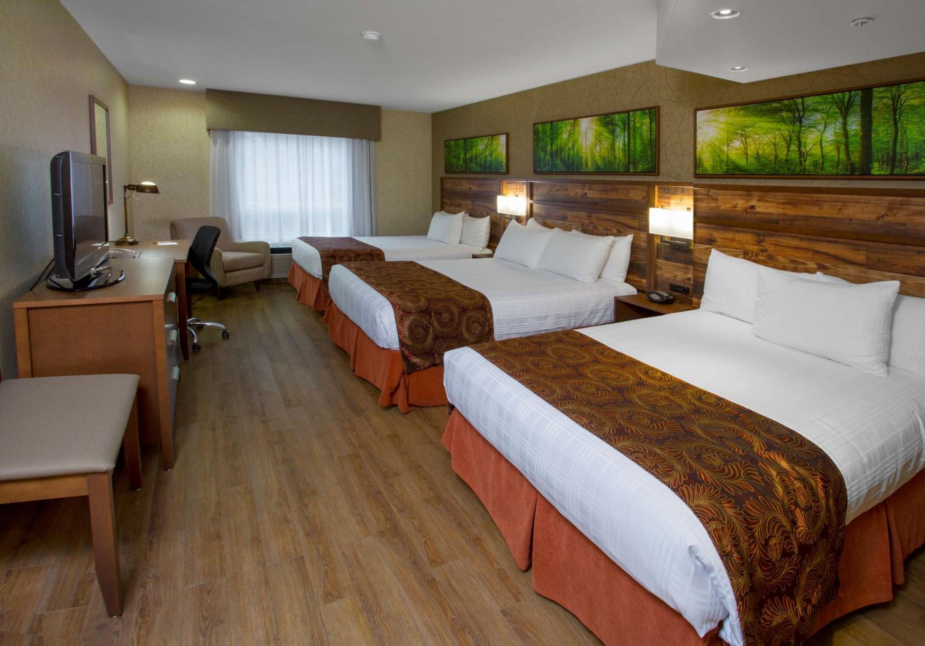 Queen Room with Three Queen Beds - Non-Smoking/First Floor photo 3