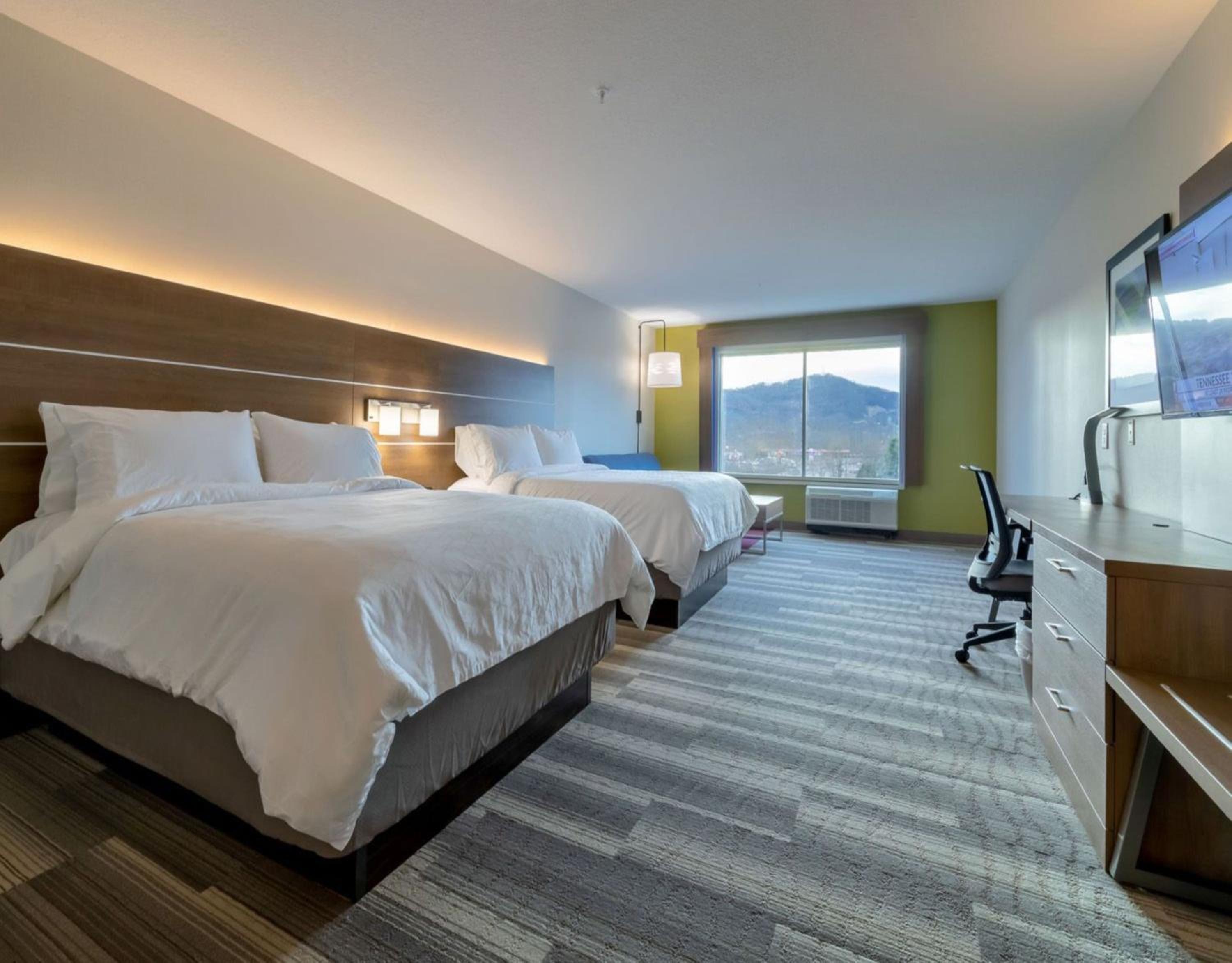 Double Suite - Photo 1
