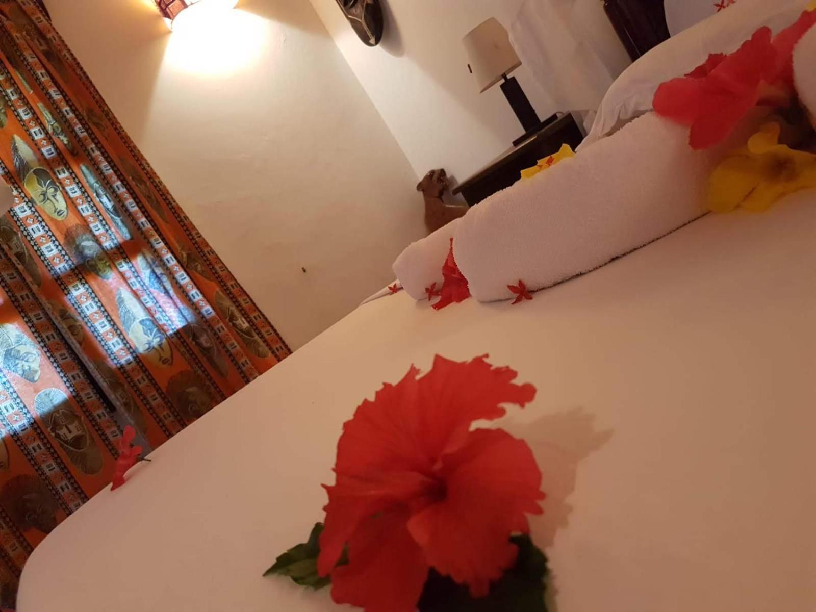 Superior Double Room - Photo 4