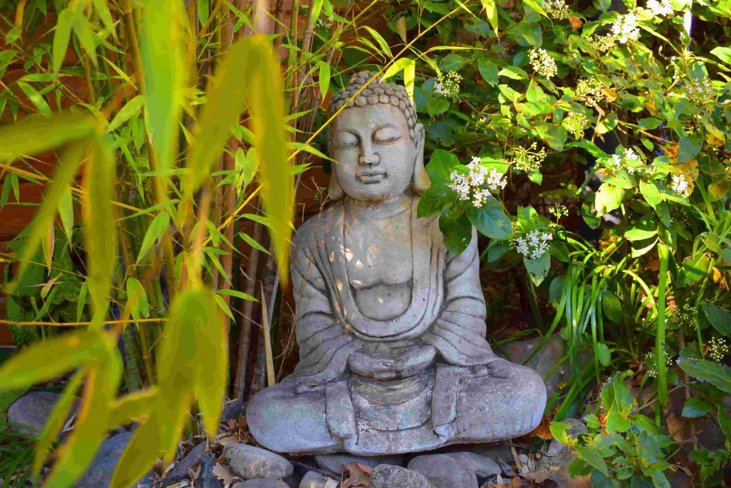 Double Room with Garden View - Photo 3