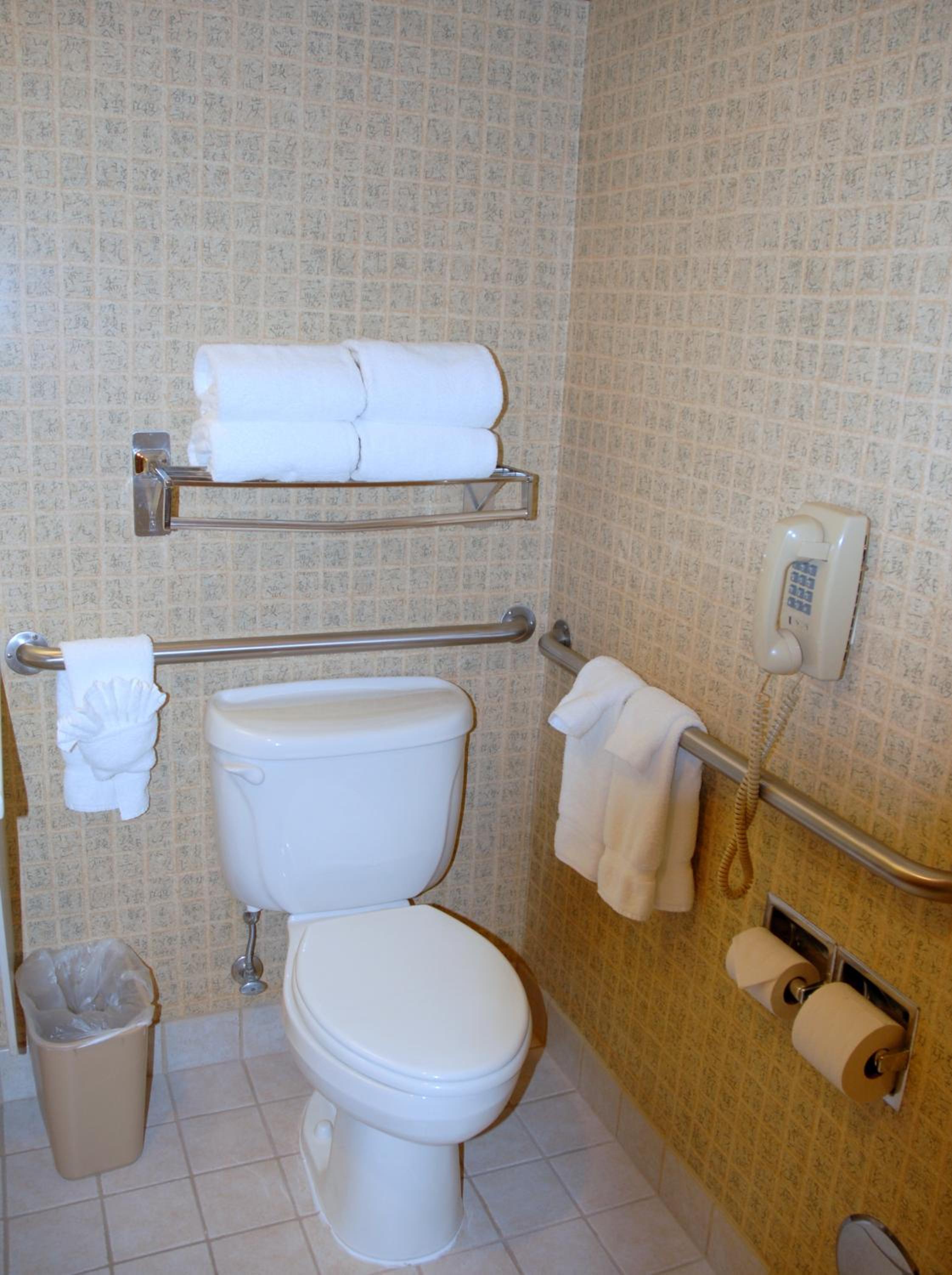 1 King Bed, Accessible Room, Non-Smoking photo 3