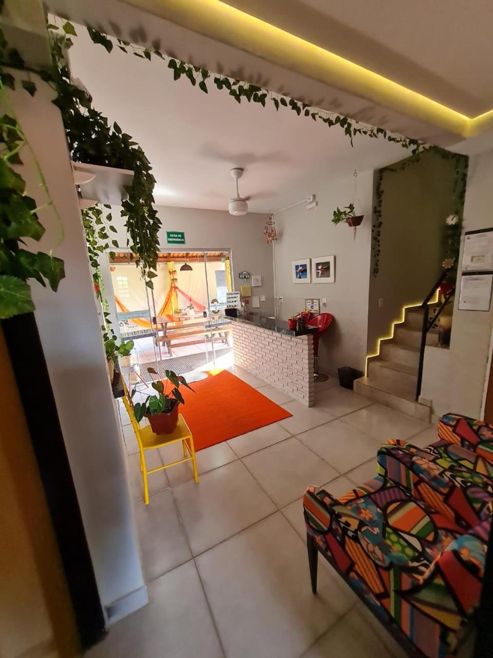 Suite - Photo 3