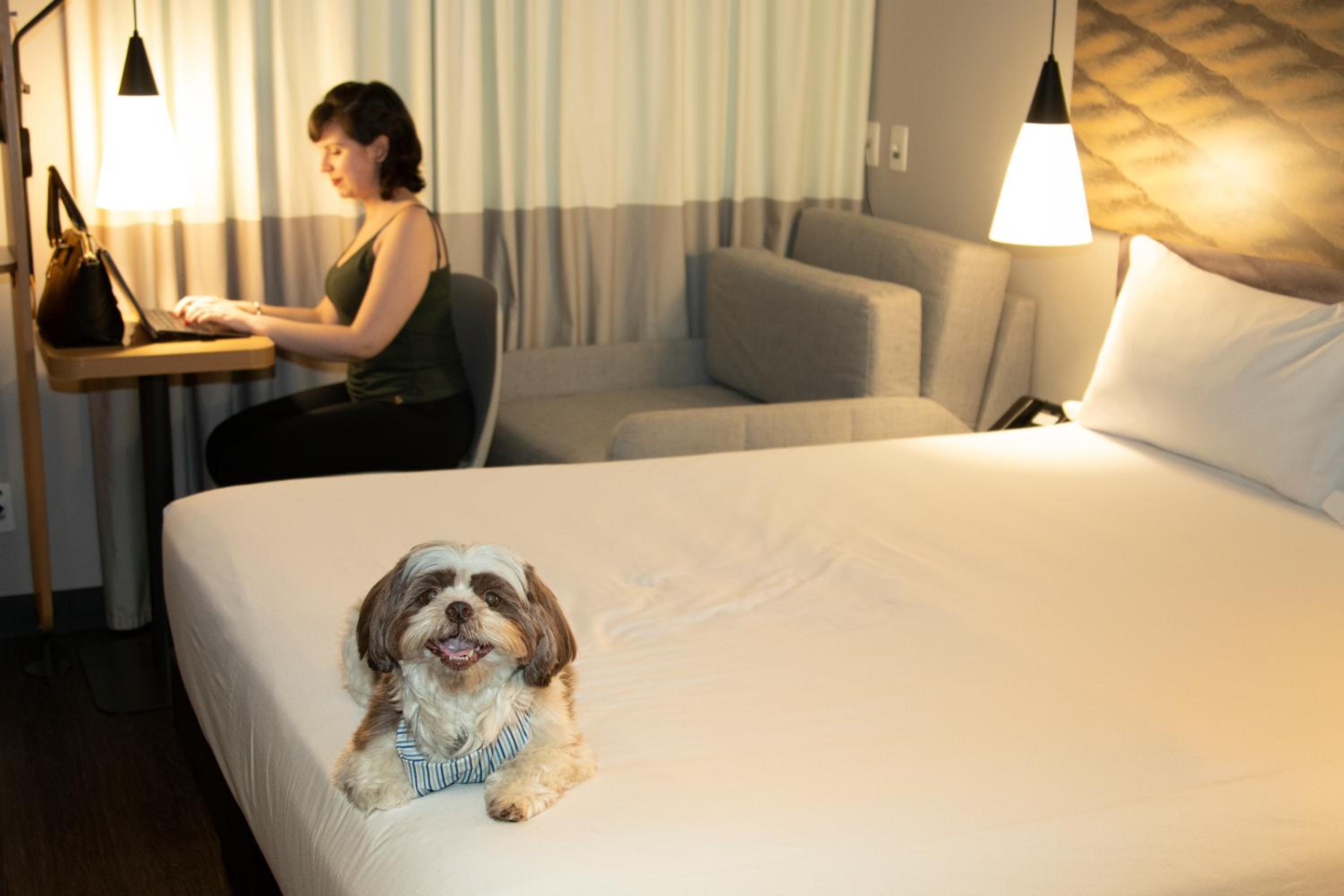 Standard Room with Double Bed and Sofa Bed thumbnail 5
