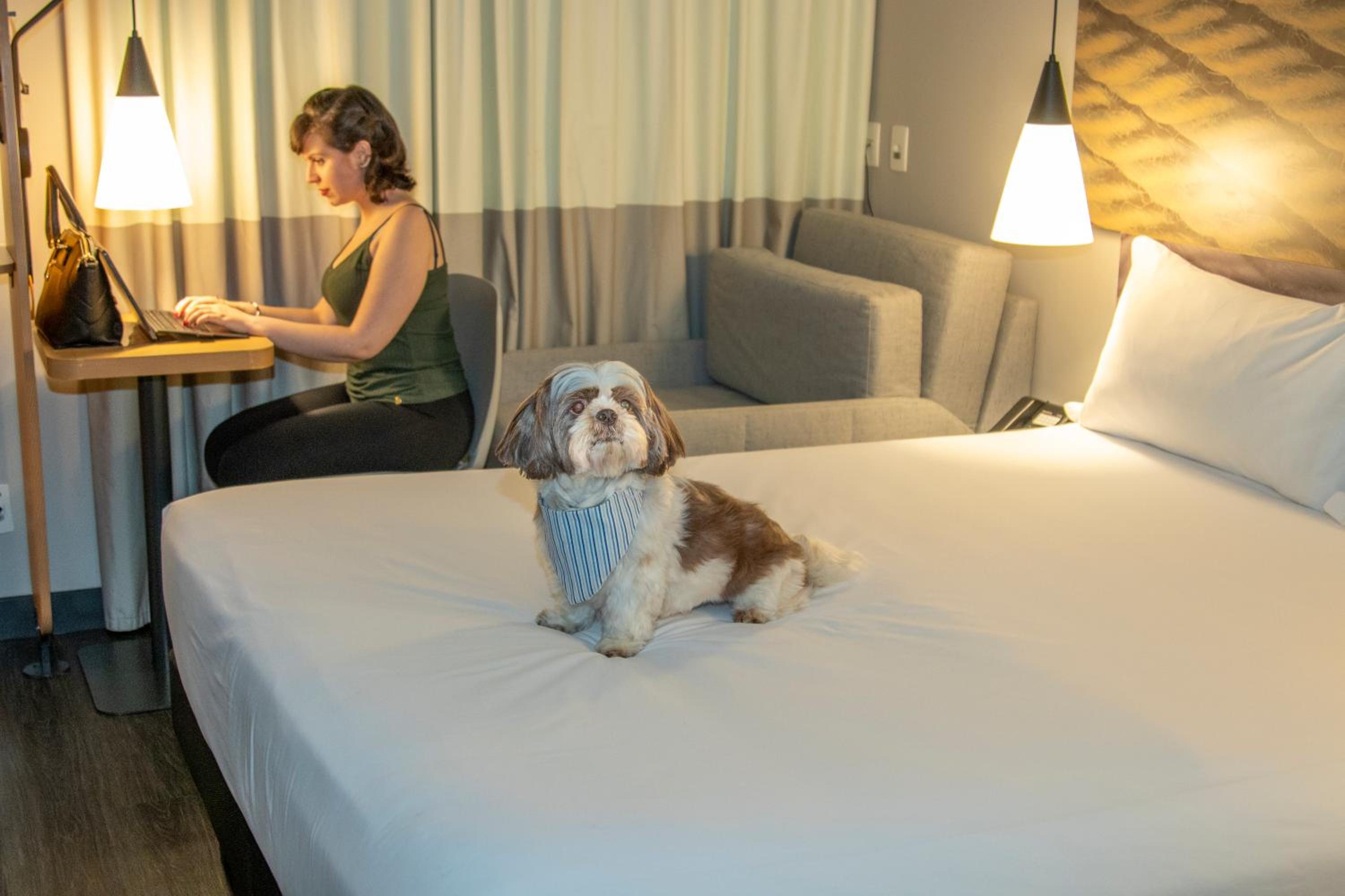 Standard Room with Double Bed and Sofa Bed