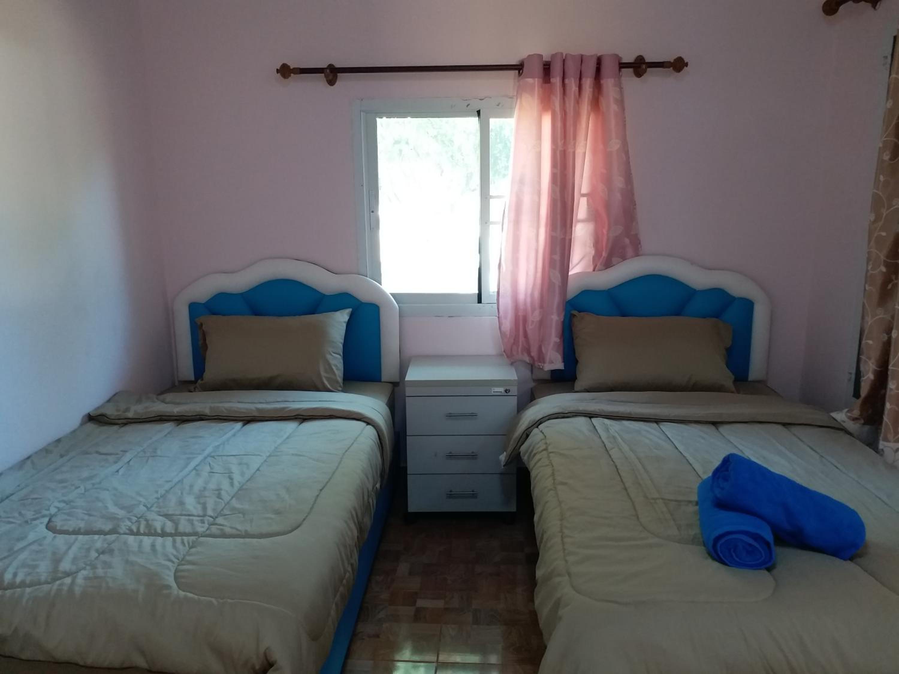 Twin Room photo 3