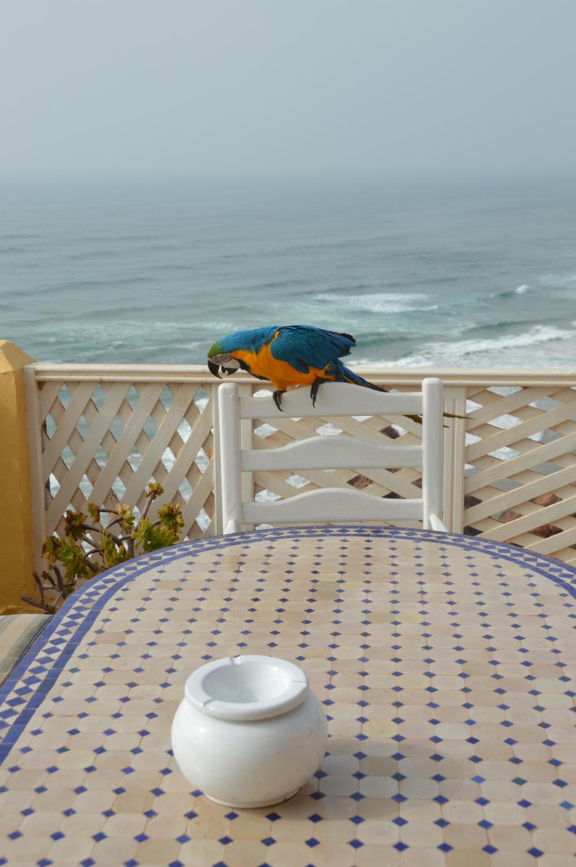 Studio with Ocean View photo 3