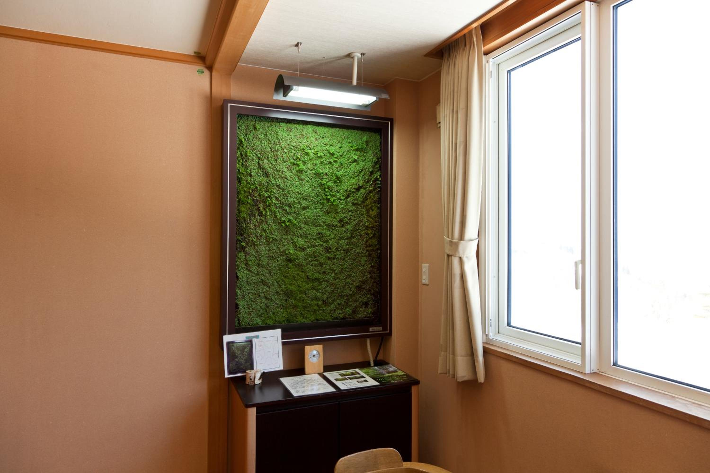 Japanese-Style Room with Shared Bathroom and Mountain View - Non-Smoking photo 2