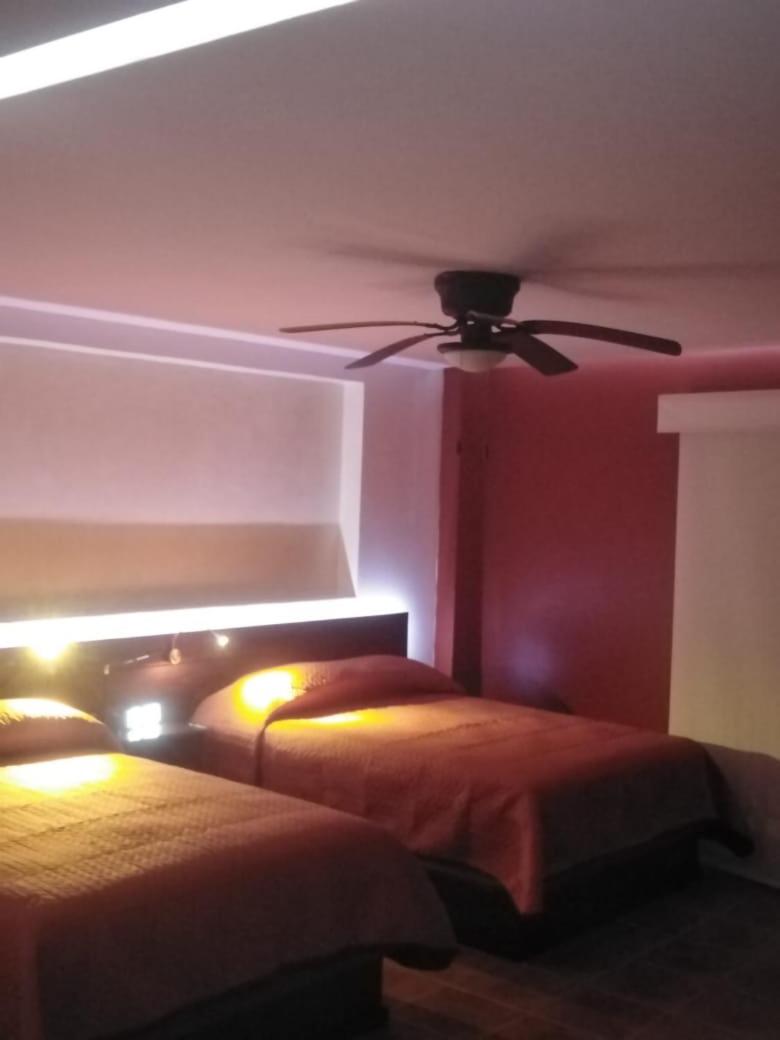 Deluxe Quadruple Room - Photo 13
