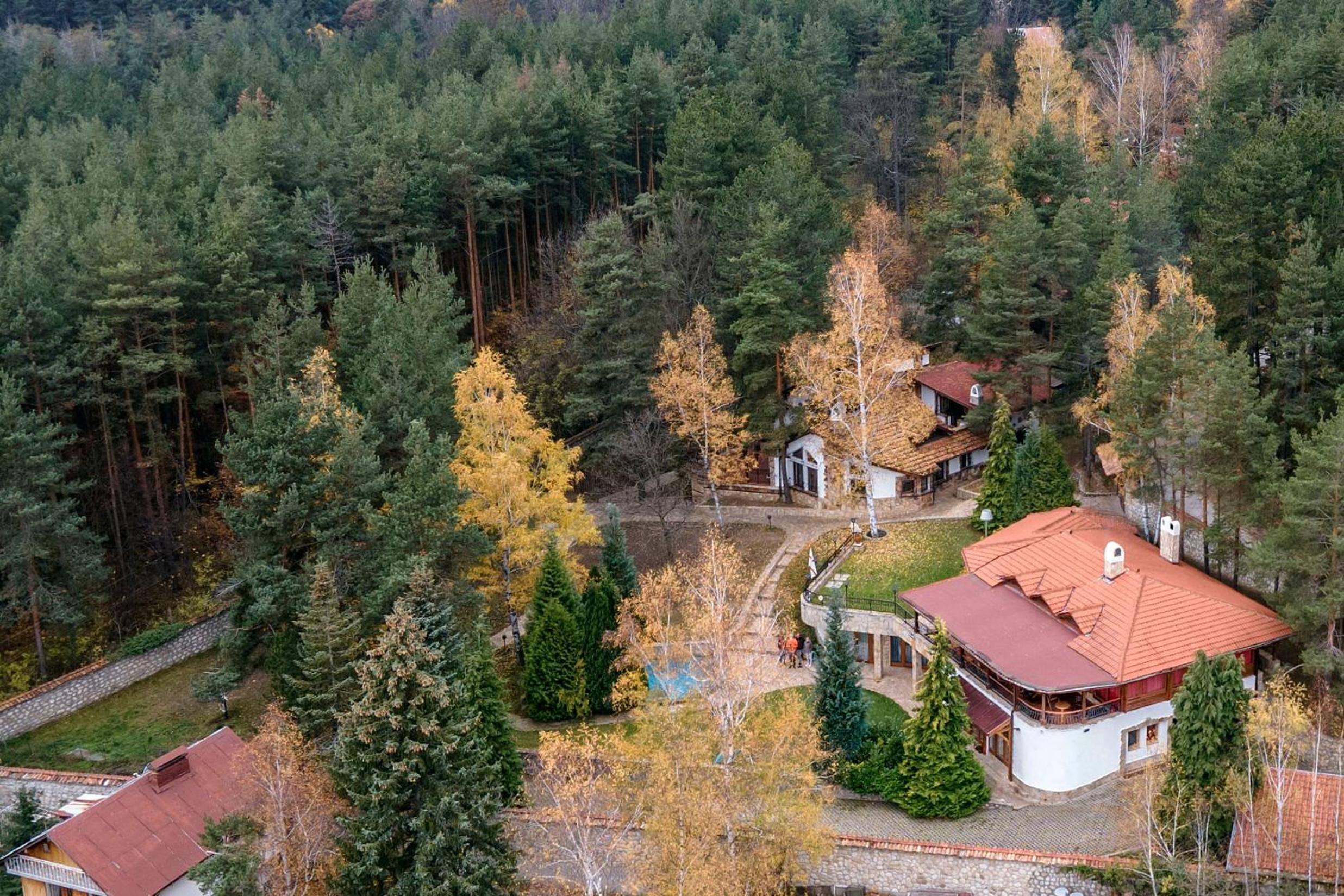 Deluxe Villa with Jacuzzi and Billiard photo 2