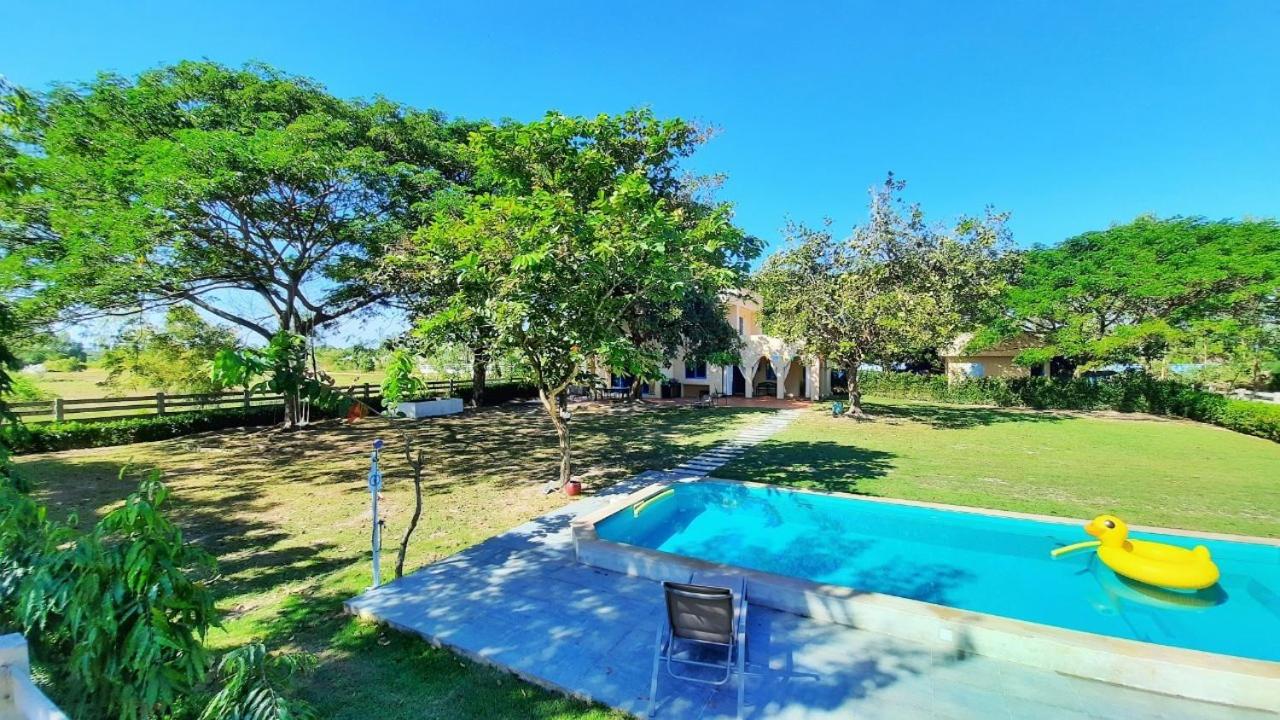 Villa - Photo 37