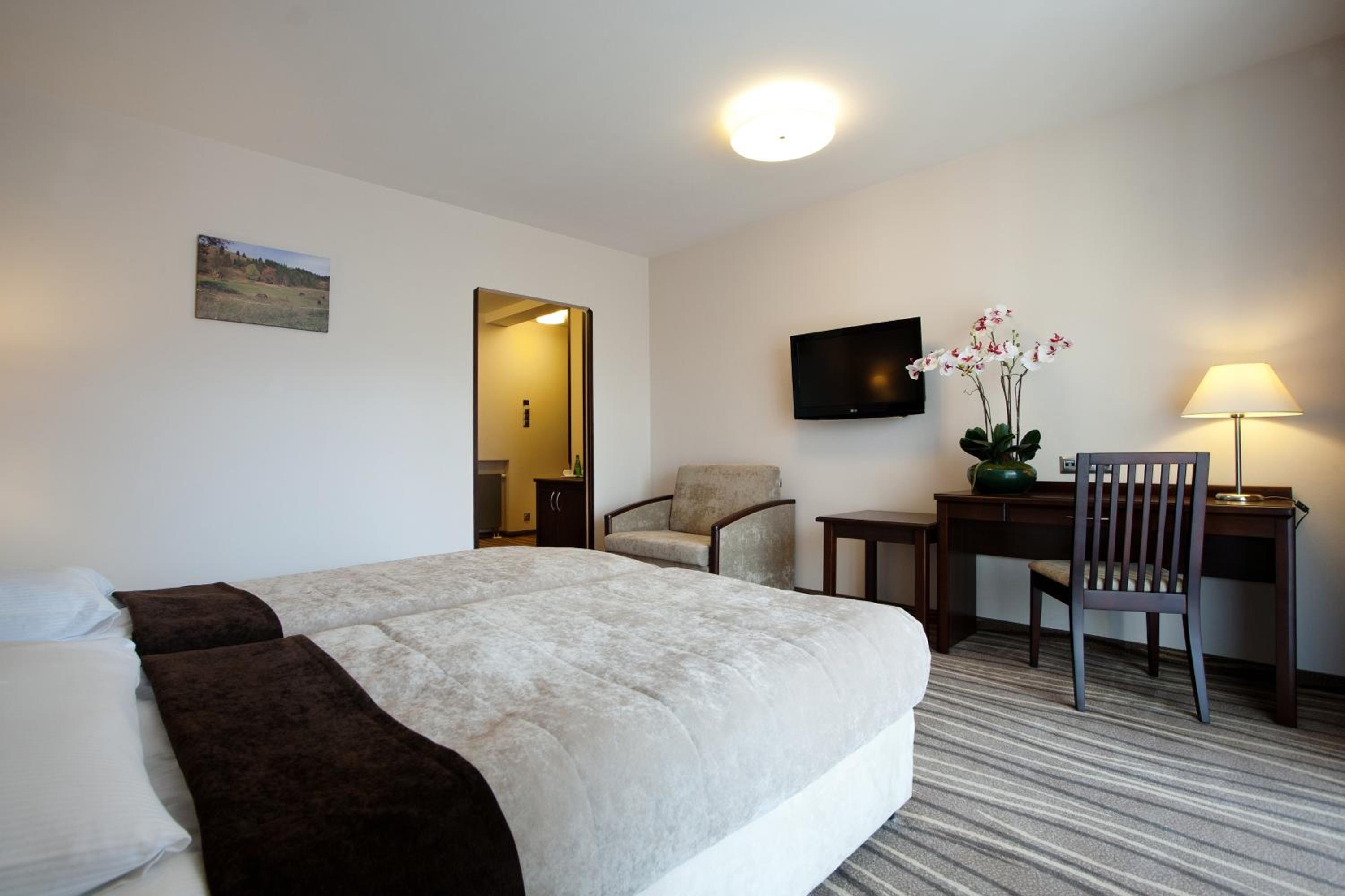 Twin Room photo 2