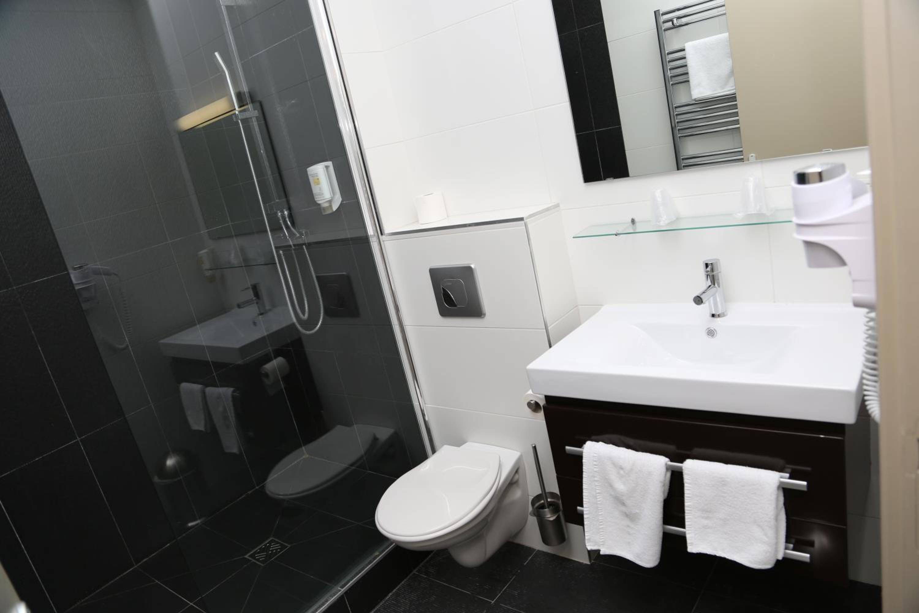 Comfort Room with Shower photo 3