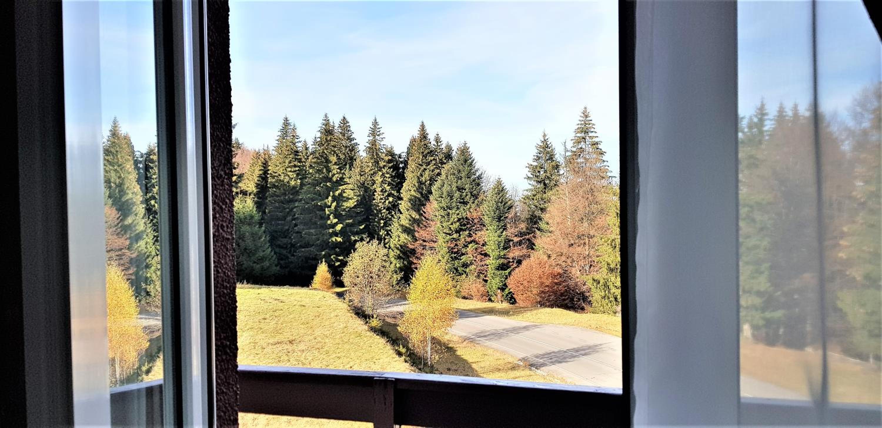 Double Room with Mountain View photo 3