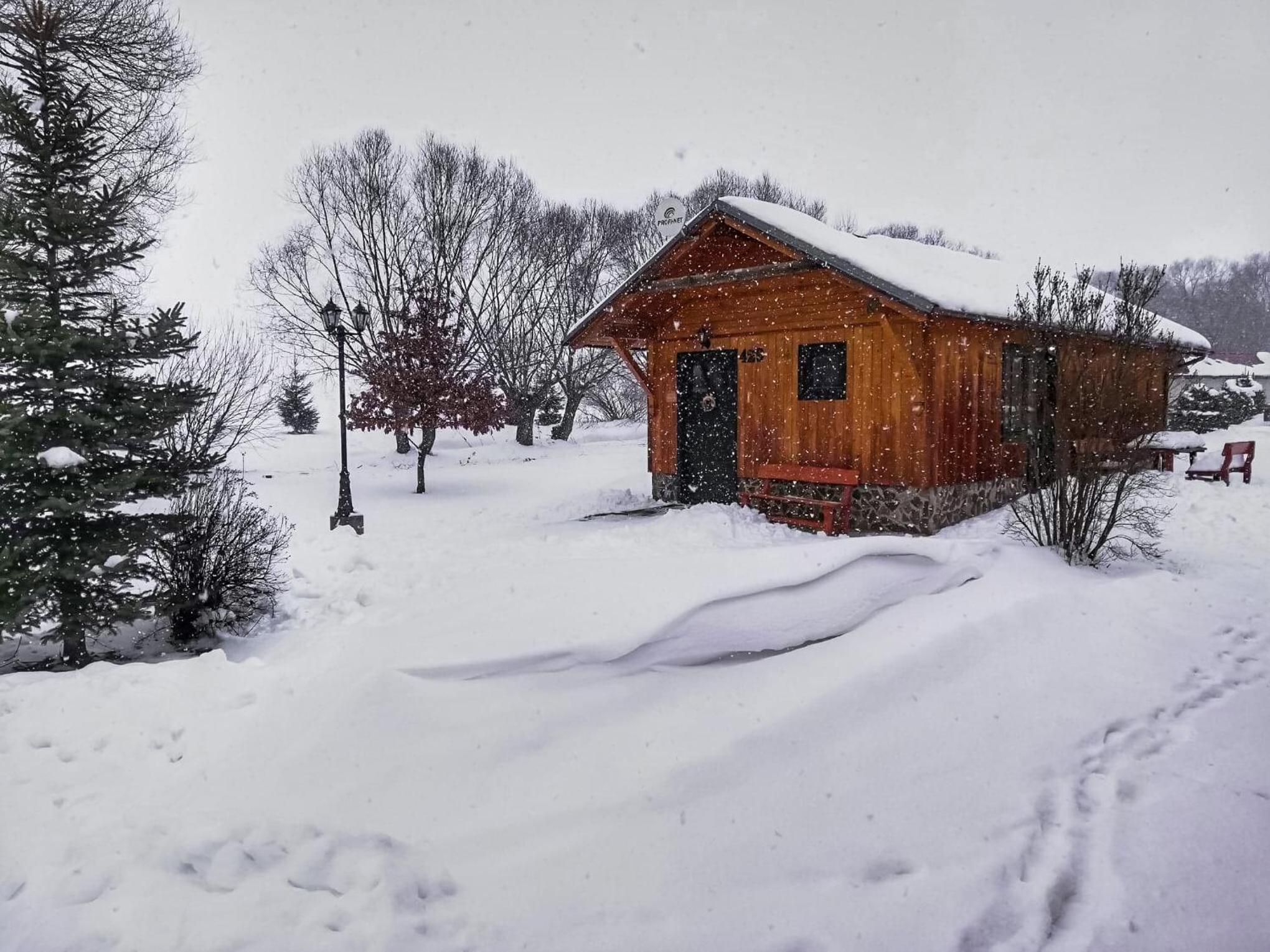Cottage - Photo 51
