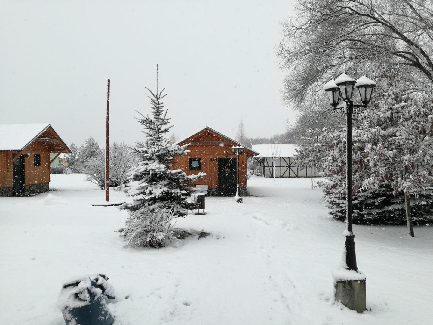 Cottage - Photo 53