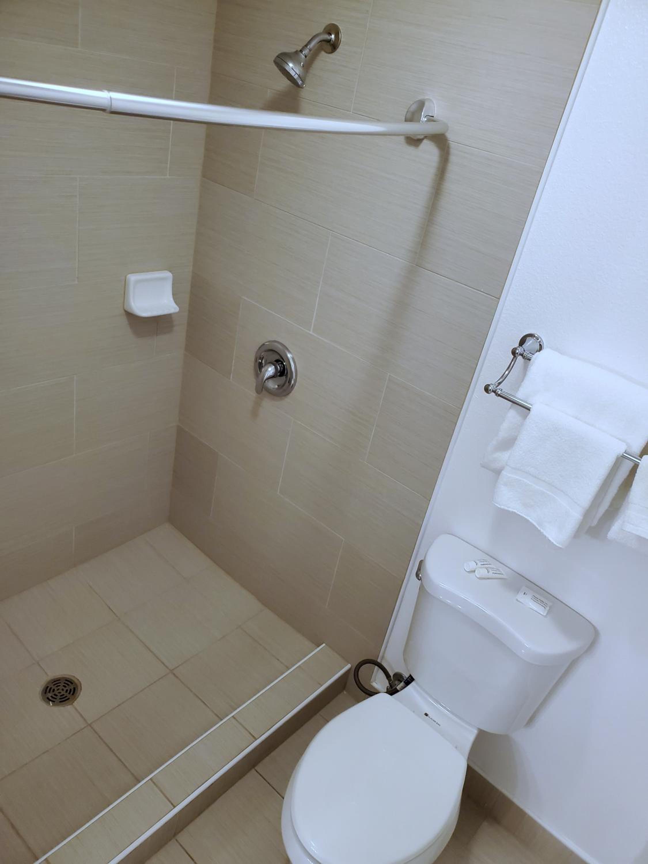 Family Room with Bathroom - Pet-Friendly - Photo 4