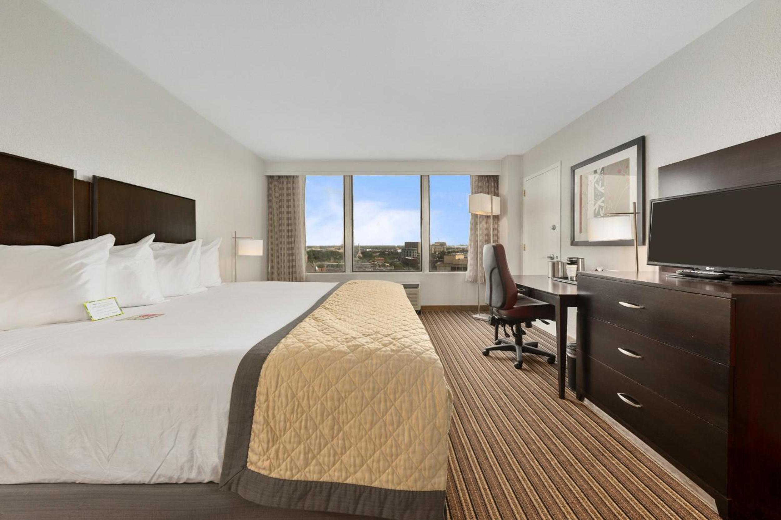King Room photo 2