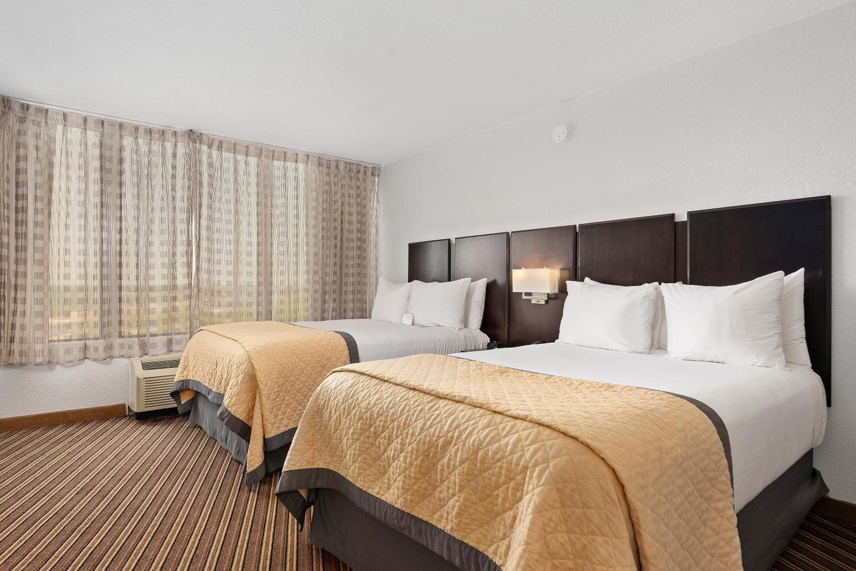 Executive Suite - Non-Smoking photo 2