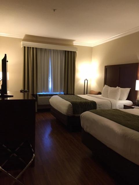 Queen Room with Two Queen Beds - Accessible/Non-Smoking - Photo 4