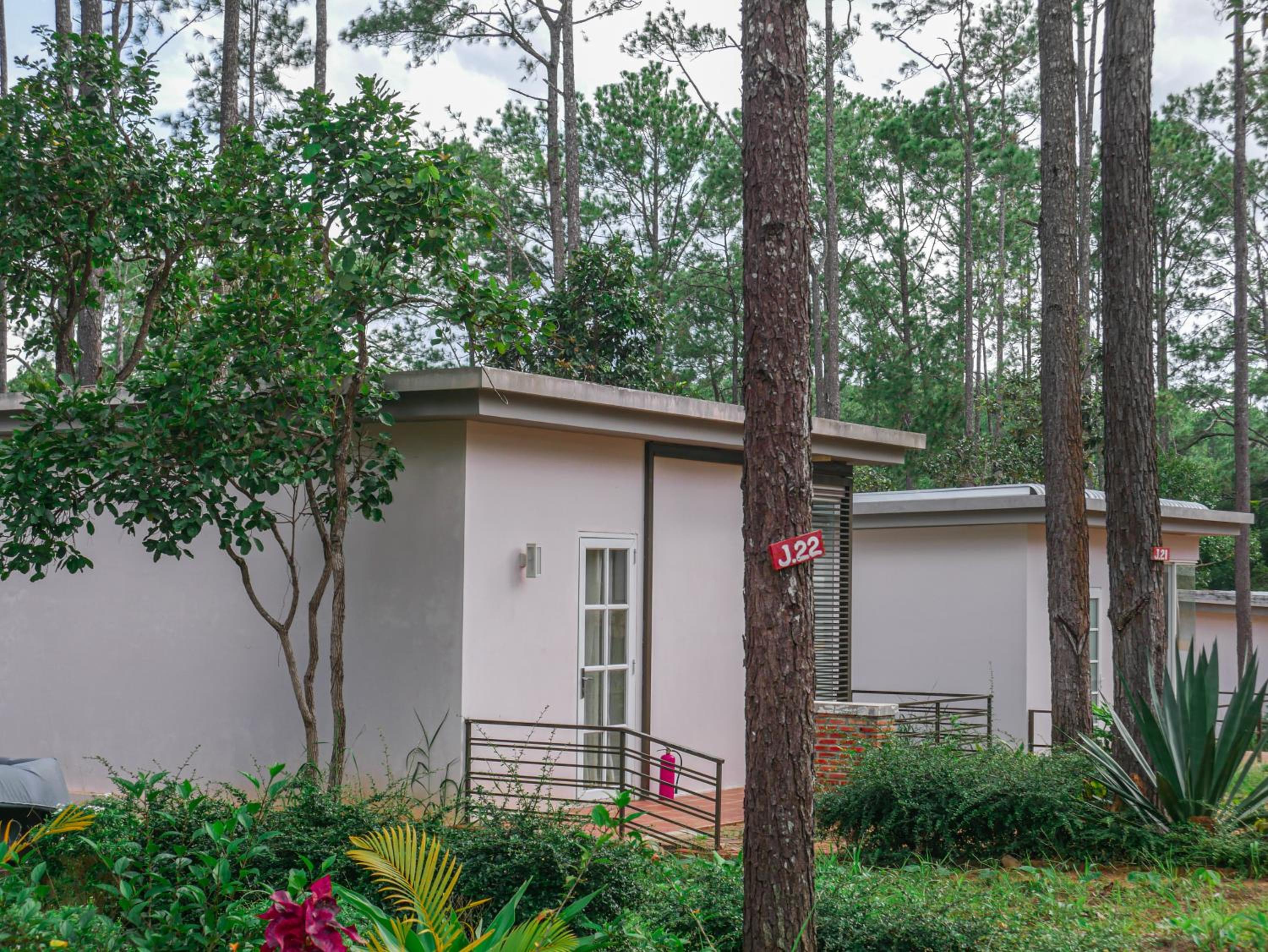 Villa Jasmine  photo 3