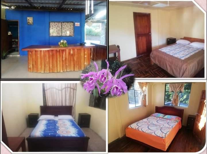 Single Room with Bathroom