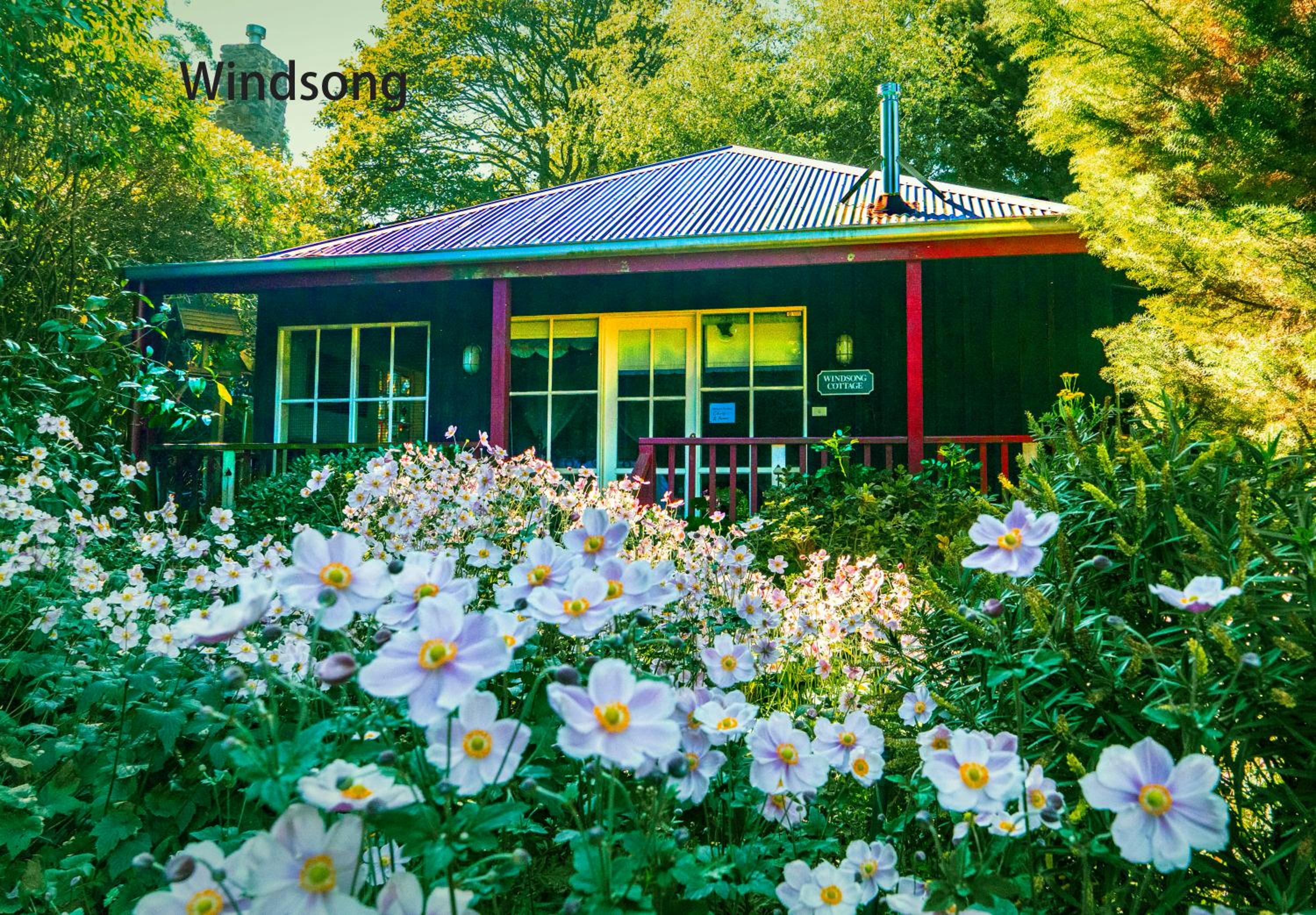 Windsong Cottage  photo 3