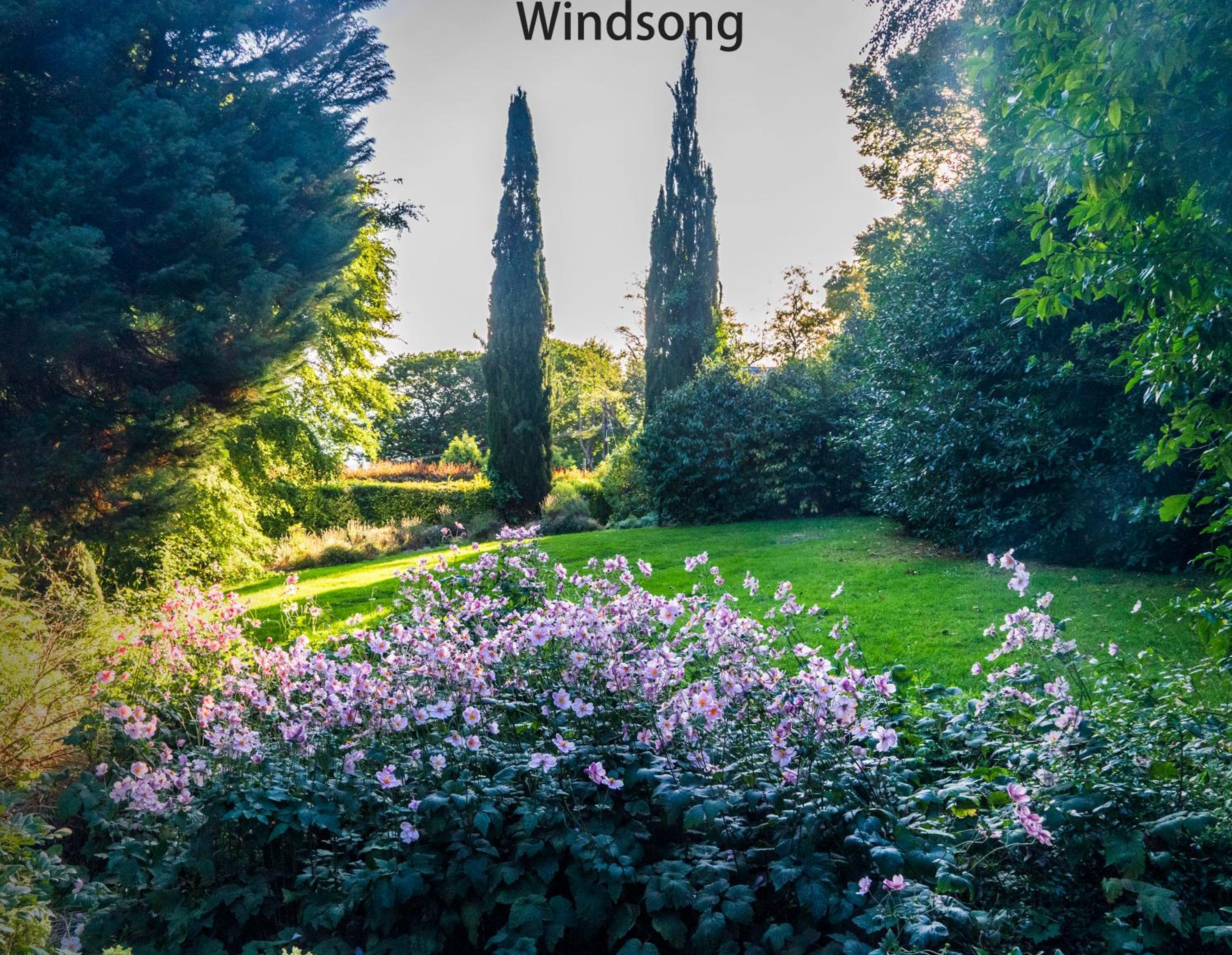 Windsong Cottage  photo 2