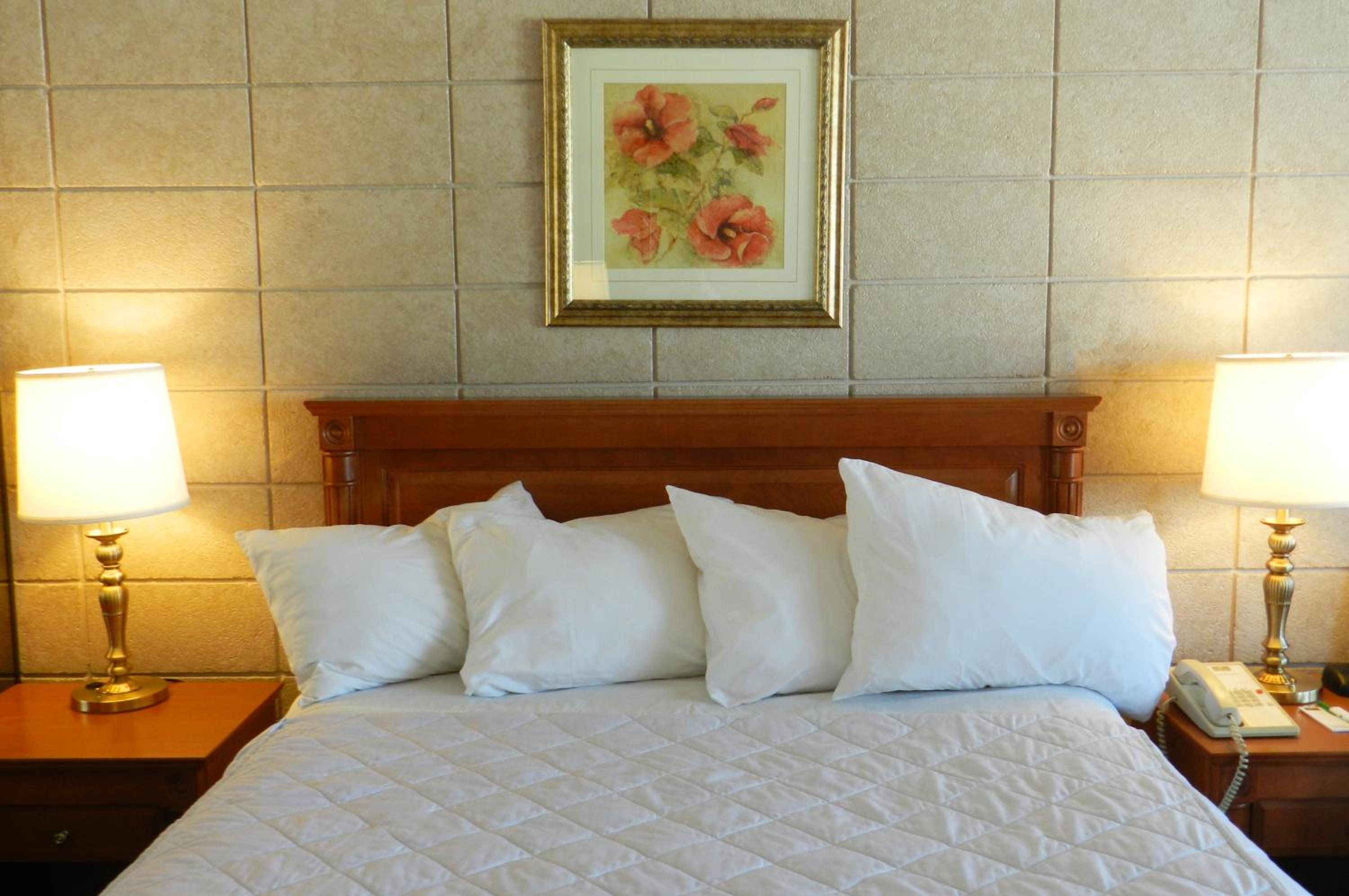 Queen Room - Non-Smoking - Photo 3