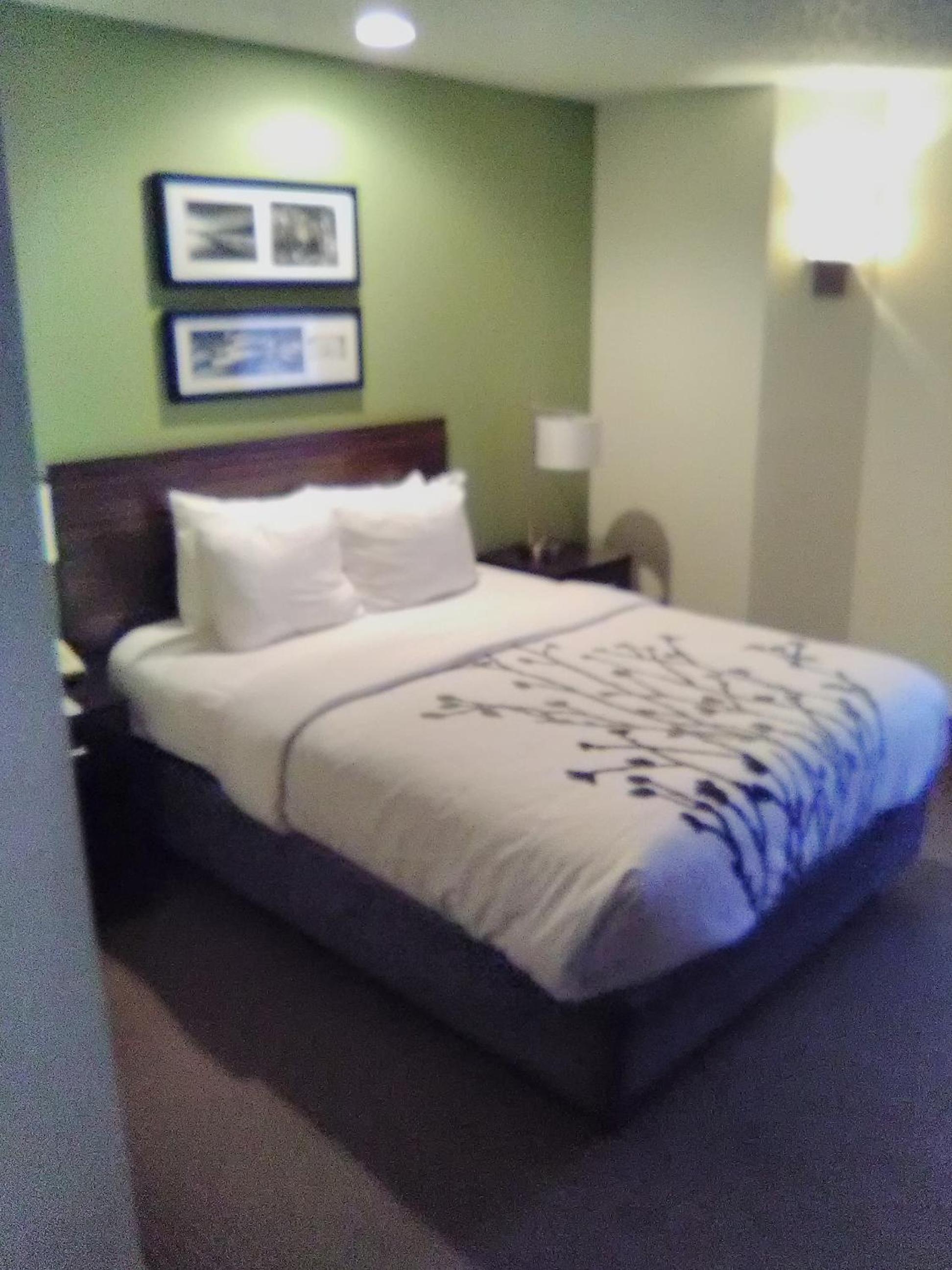 Sleep Inn Summersville - New River Gorge Area, Foto 3