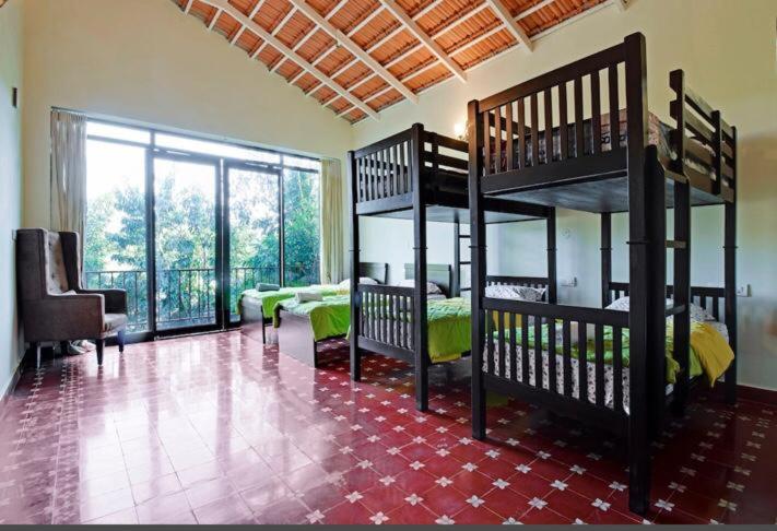 Deluxe King Room photo 1