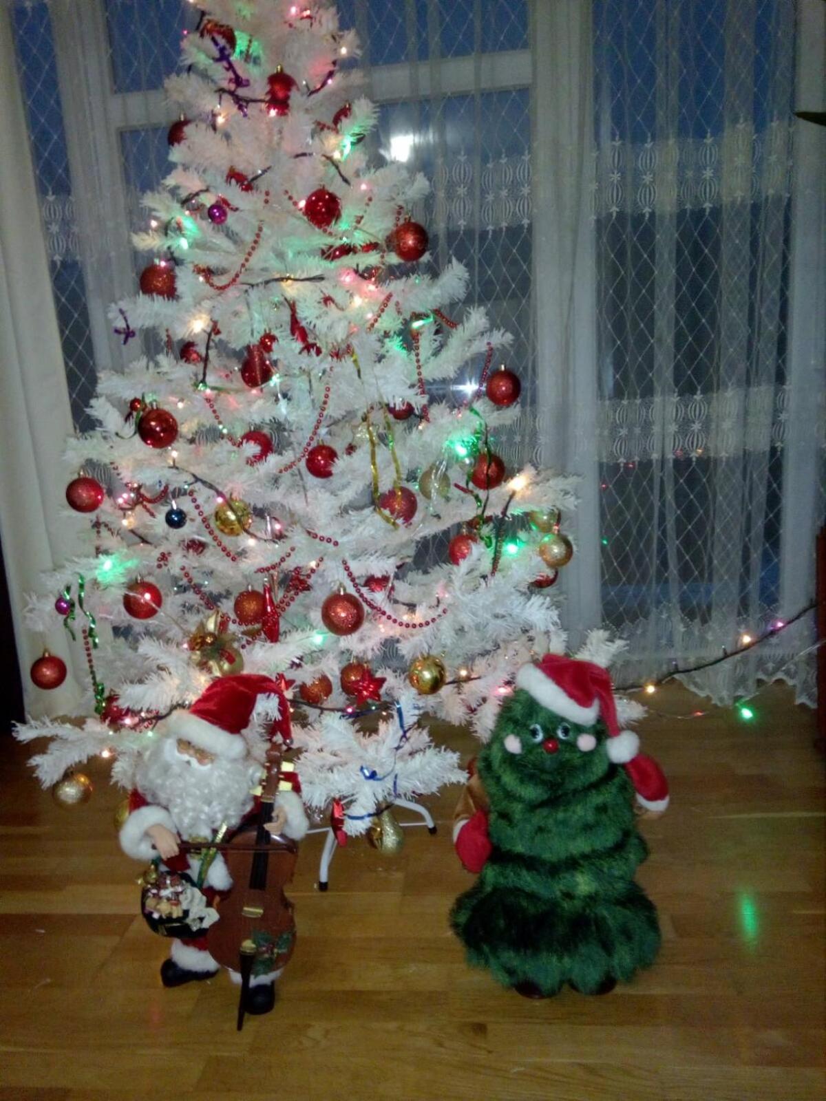 Standard Family Room photo 2
