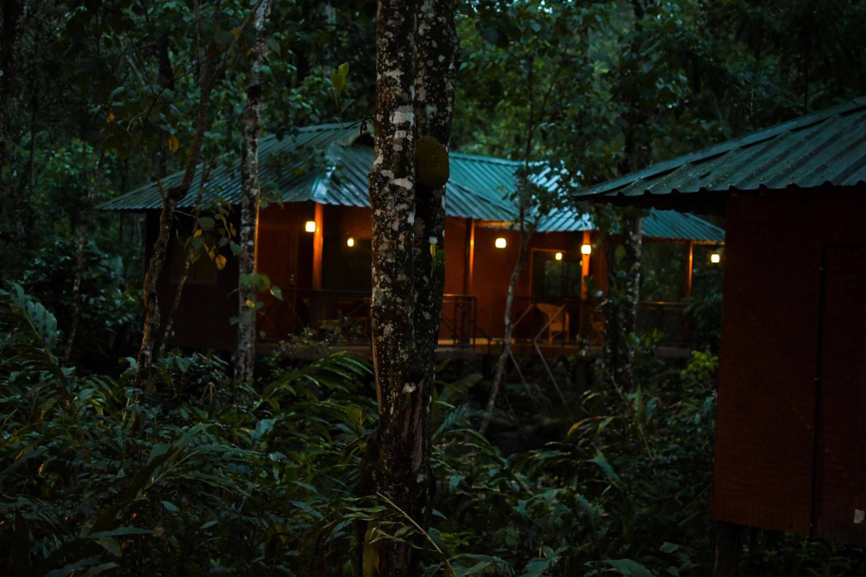 Standard Tree House photo 3