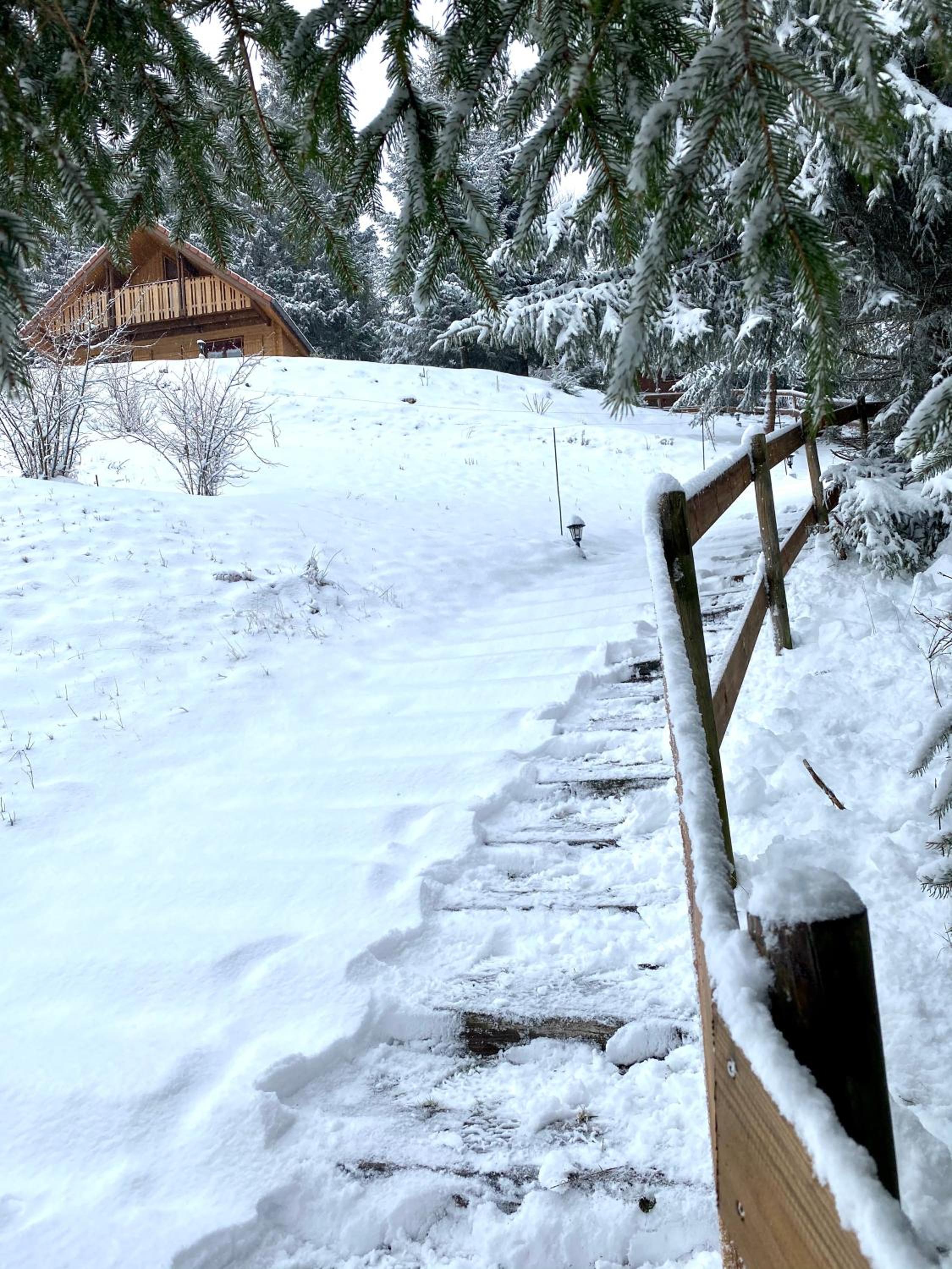 Two-Bedroom Chalet photo 1