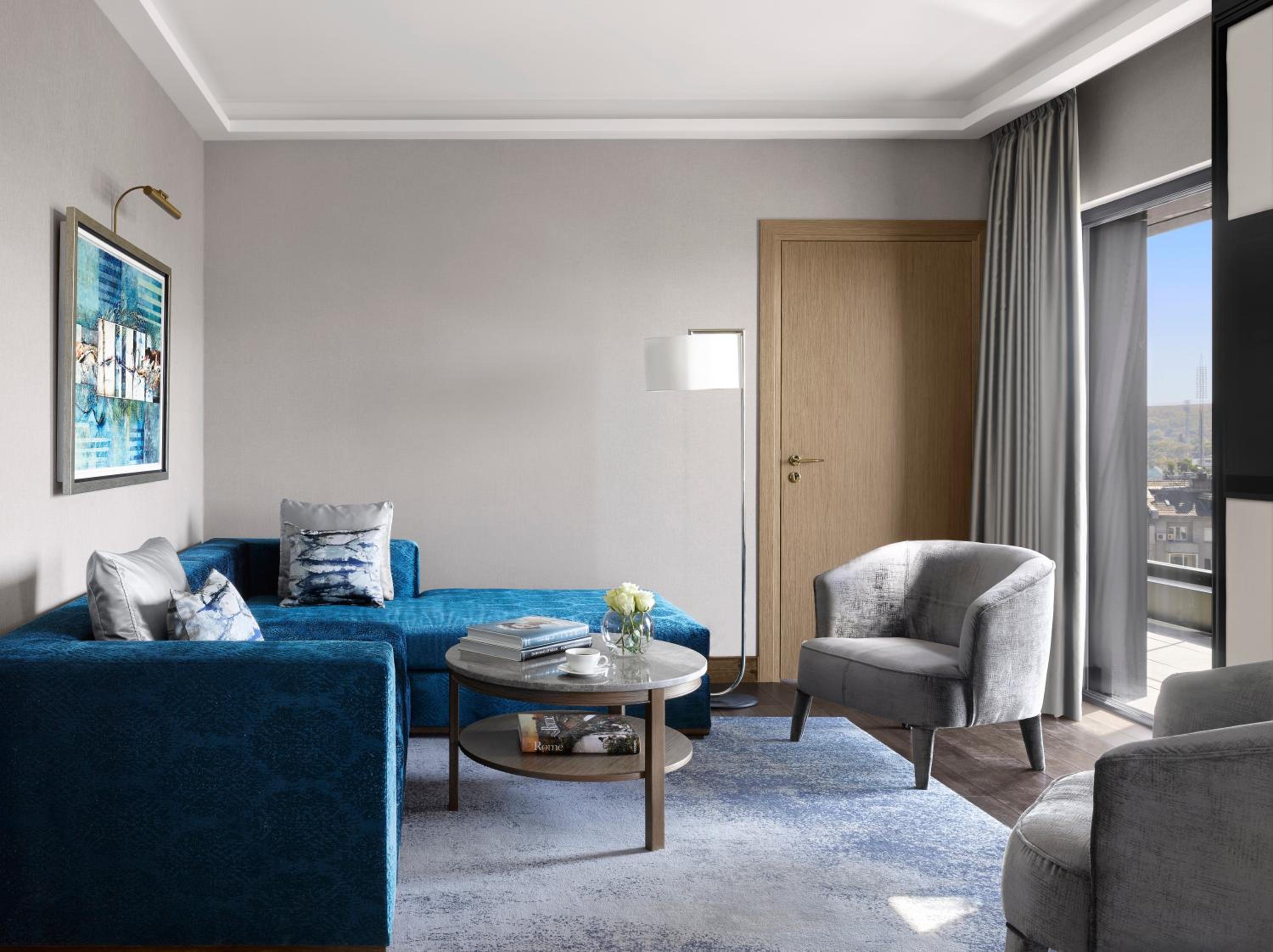 One-Bedroom Suite with Terrace and Vitosha View