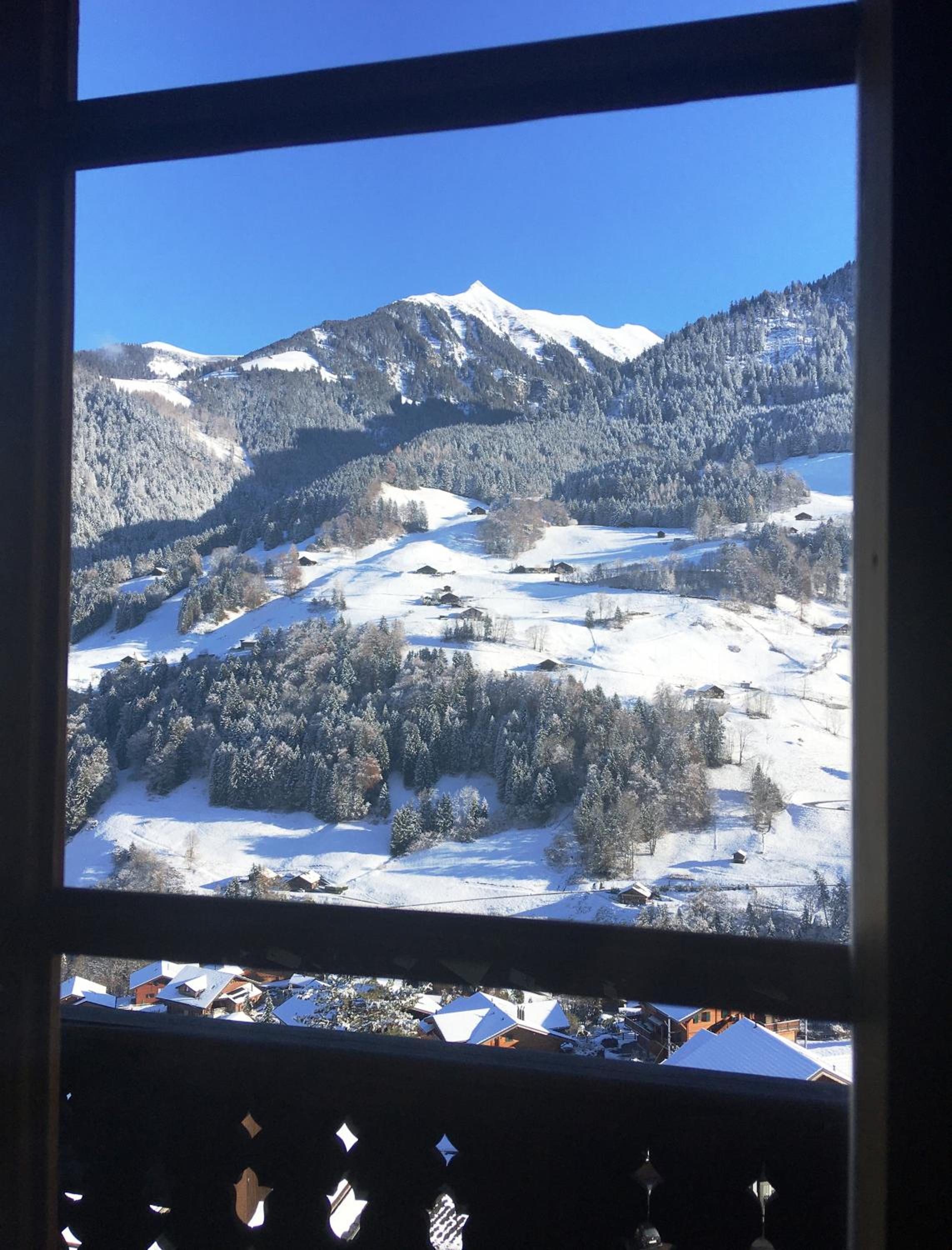 Chalet photo 1