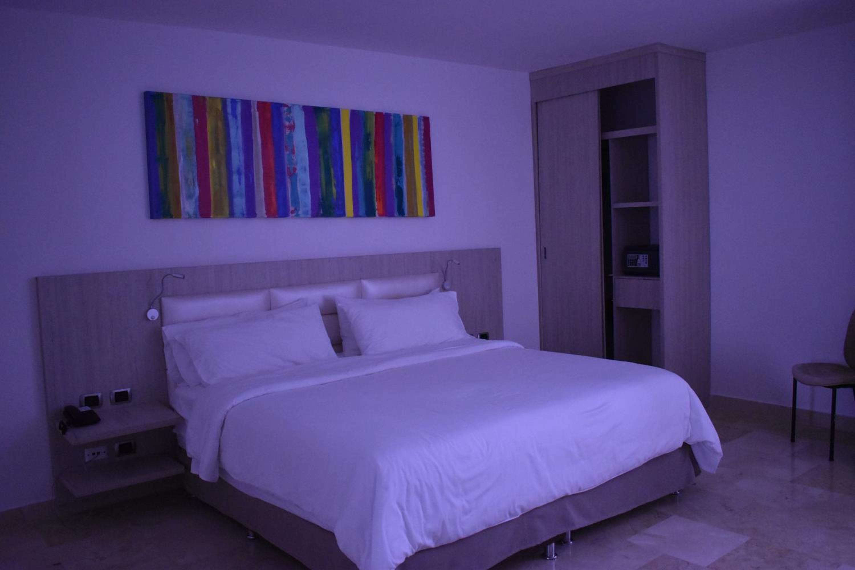 Premium King Room with City View - Non-Smoking photo 2