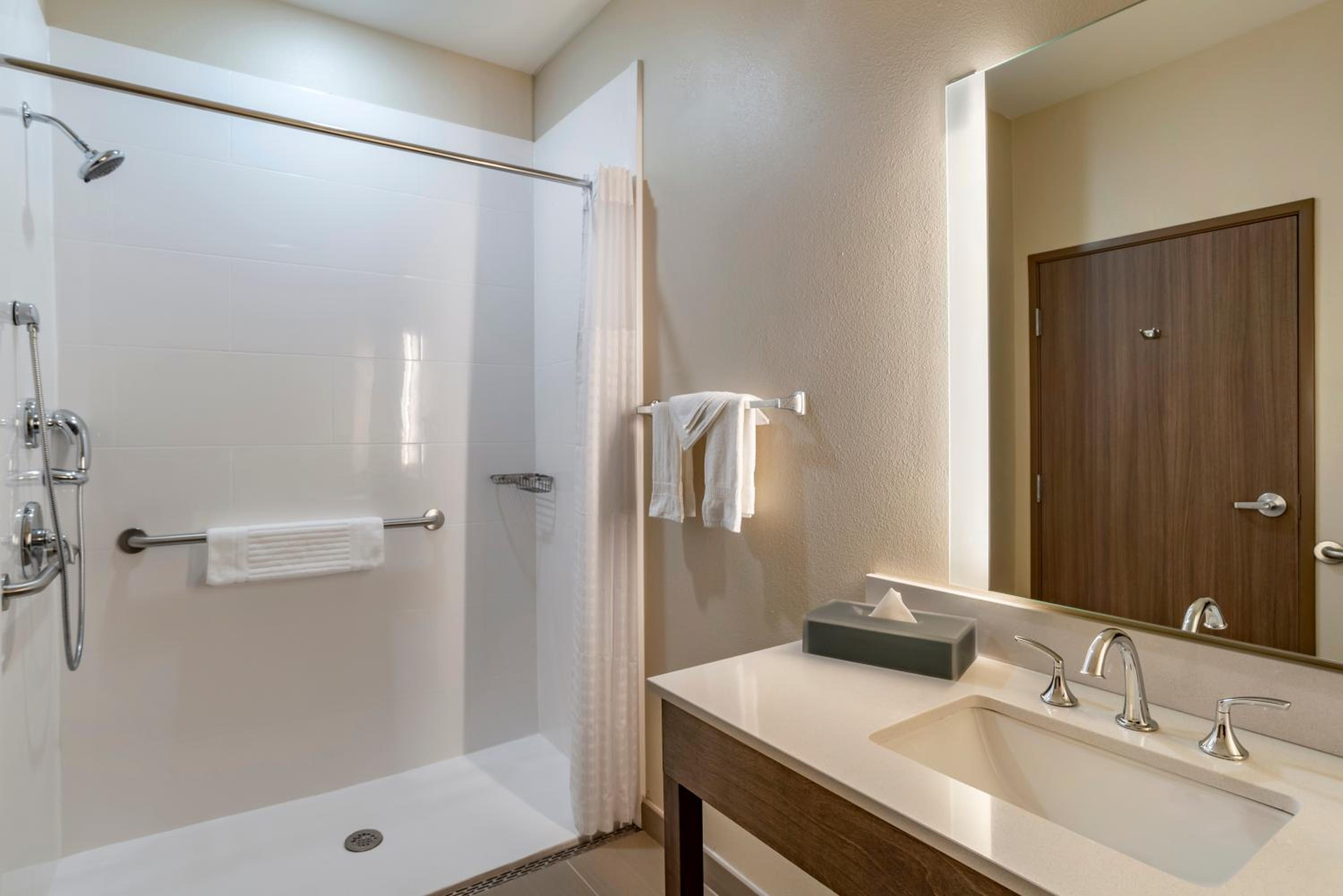 King Room with Roll-In Shower - Accessible/Non-Smoking - Photo 4