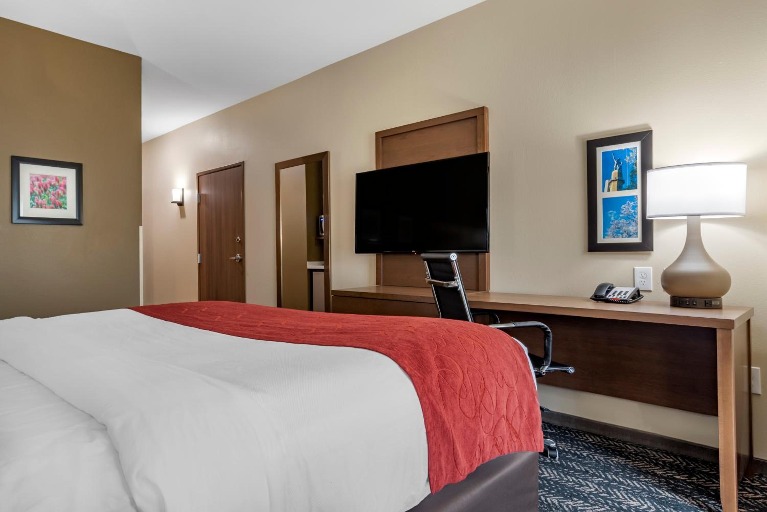 King Room with Roll-In Shower - Accessible/Non-Smoking - Photo 3